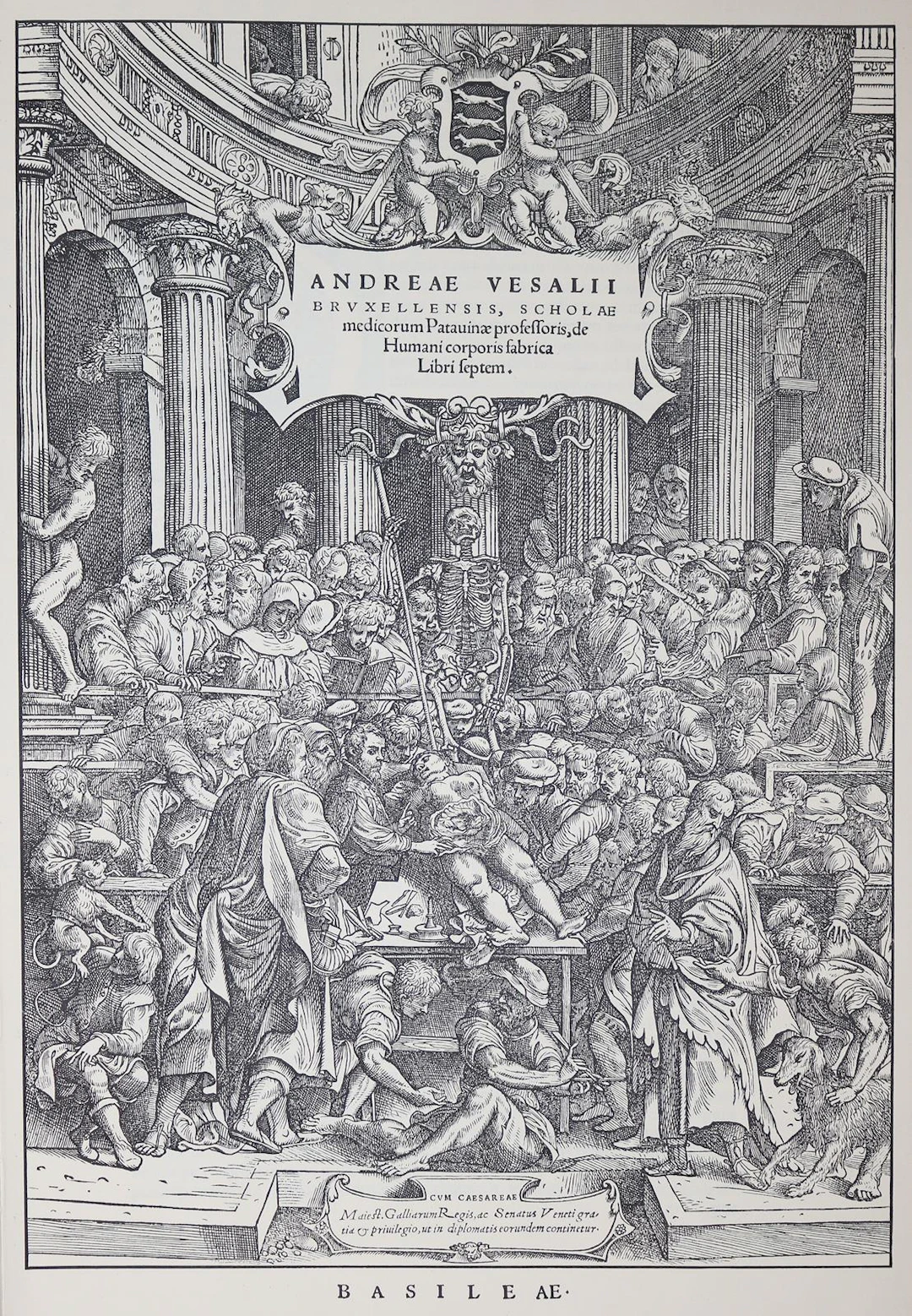 Vesalius,A. De humani corporis fabrica. Brüssel