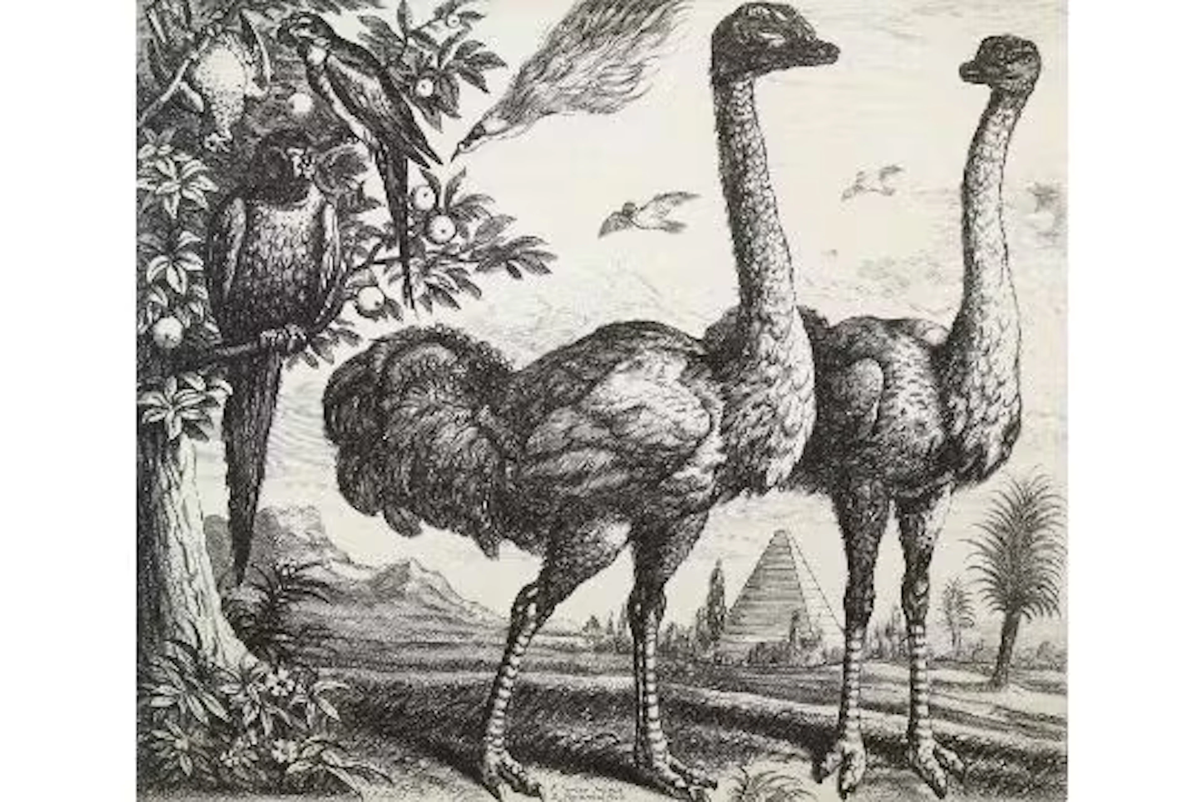 Hollar, Wenzel