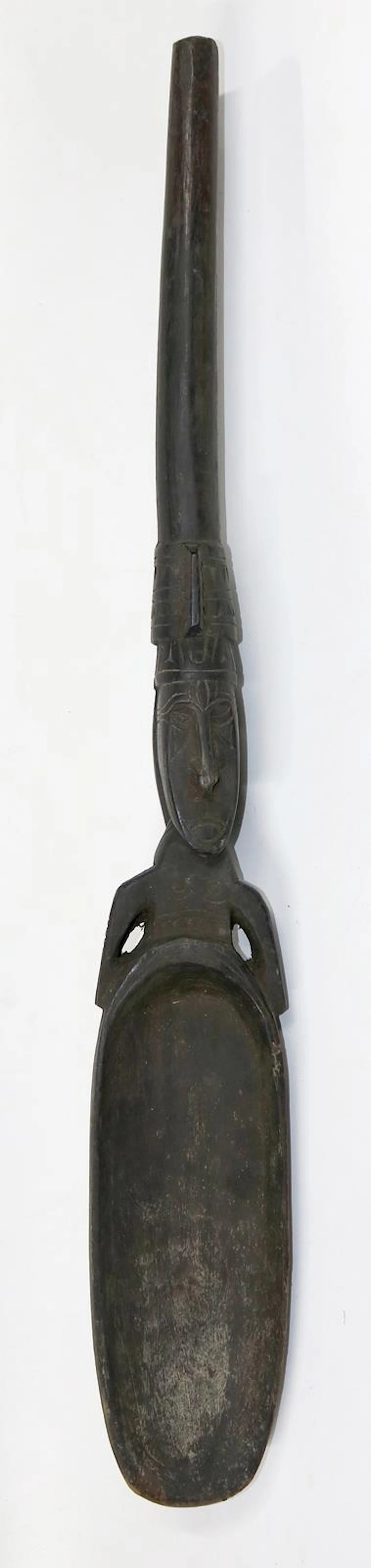 Kalkspatel, Lime Spatula Papua Neuguinea