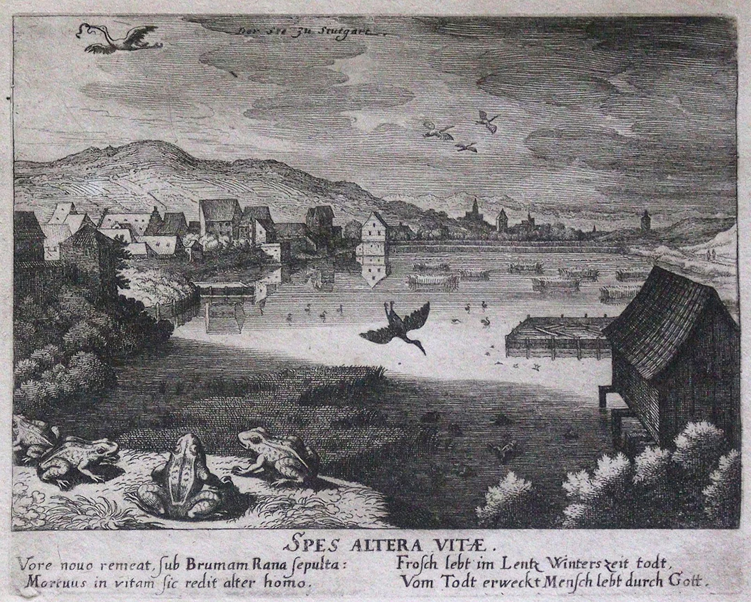 Merian I., Matthäus (1593 Basel - Langenschwalbach 1650). 9 Kupferstiche