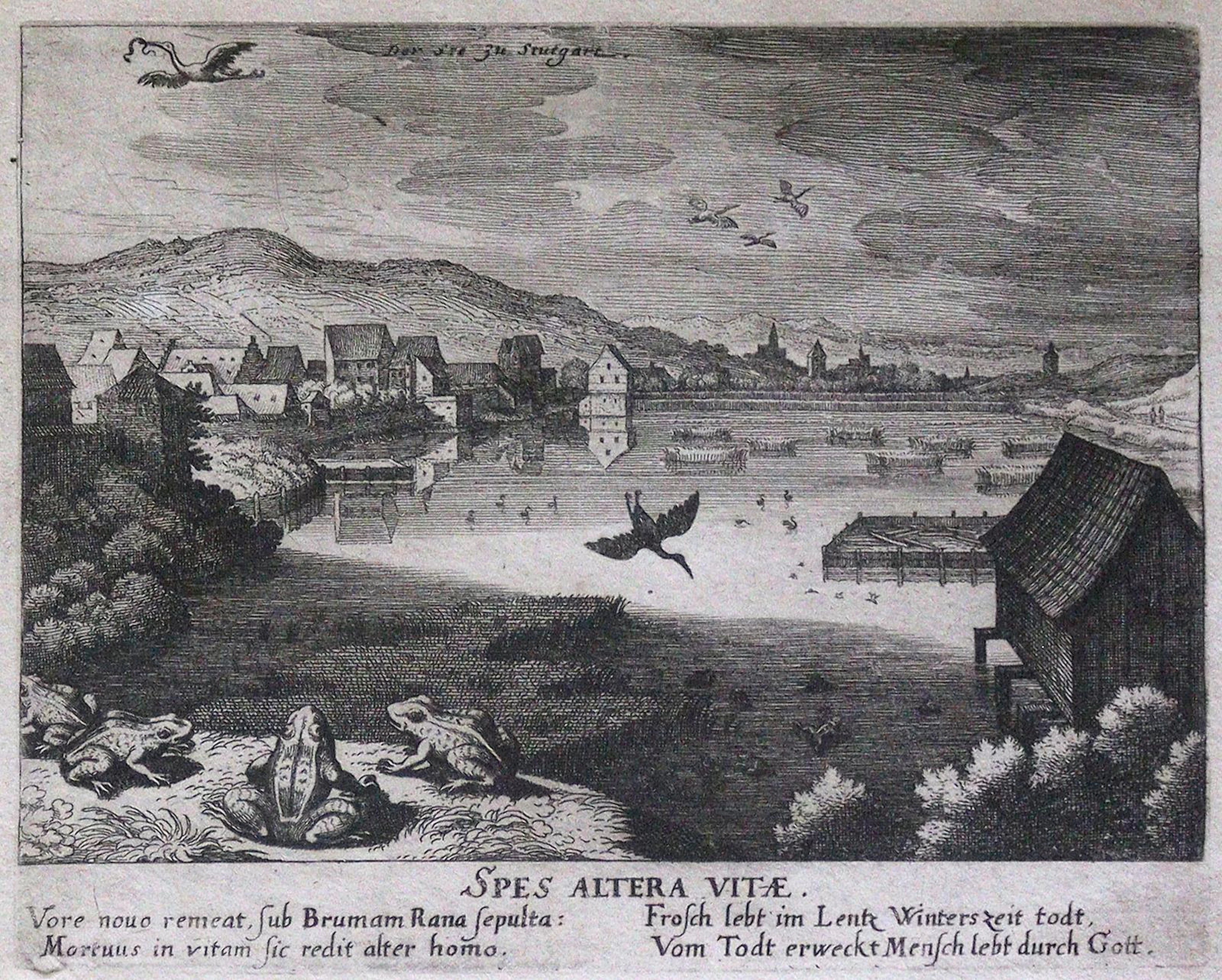 Merian I., Matthäus (1593 Basel - Langenschwalbach 1650). 9 Kupferstiche