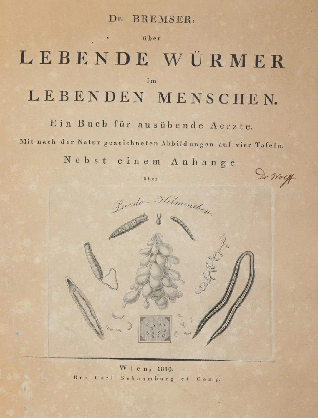 Bremser,(J.G.). Über lebende Würmer im lebenden Menschen. Nebst einem