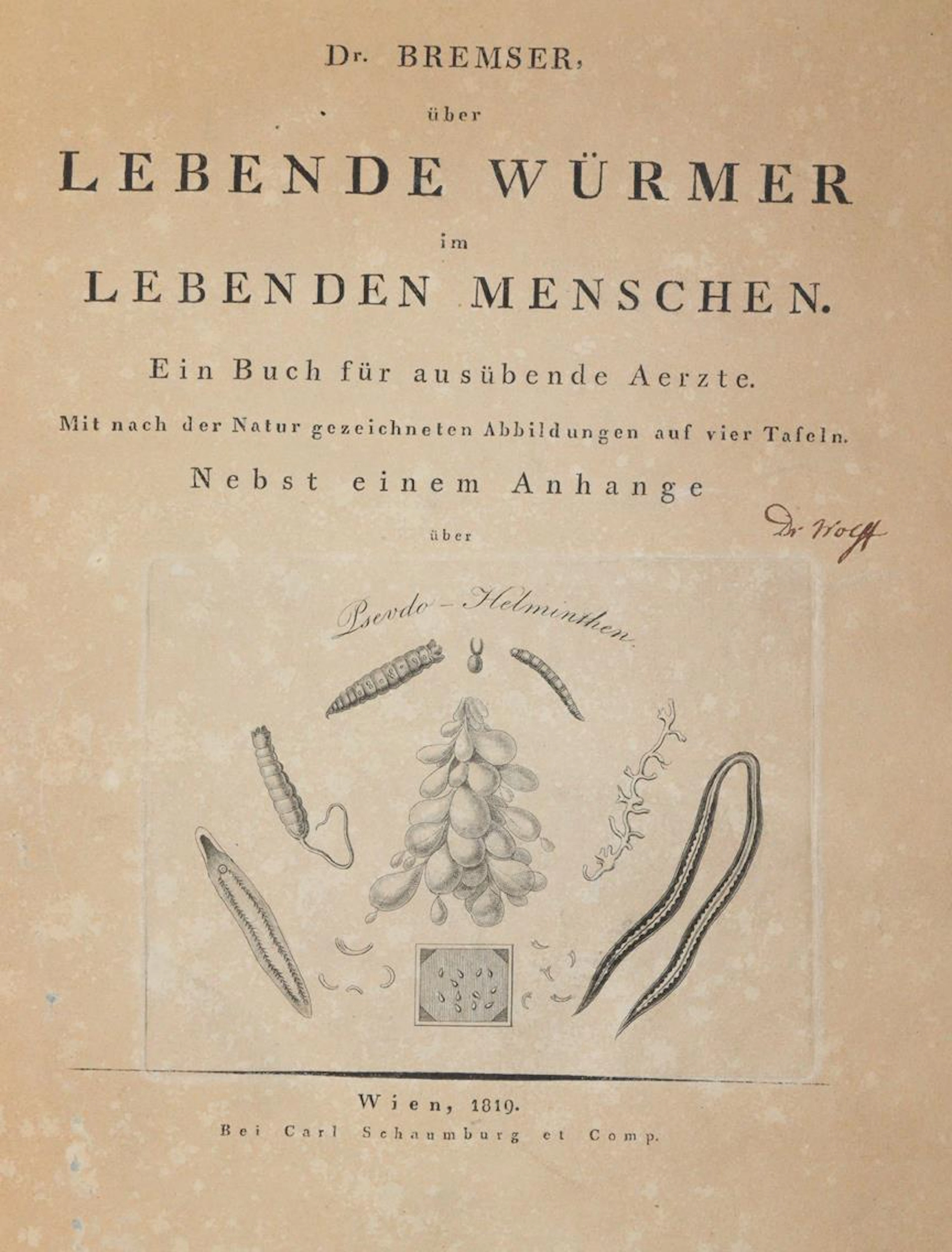 Bremser,(J.G.). Über lebende Würmer im lebenden Menschen. Nebst einem