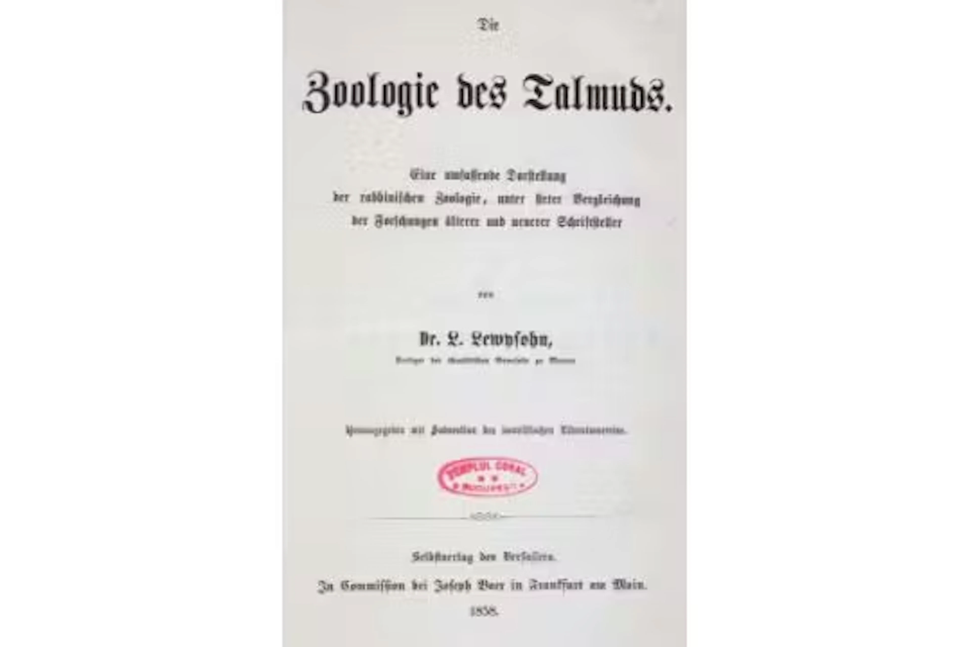 Lewysohn,L.