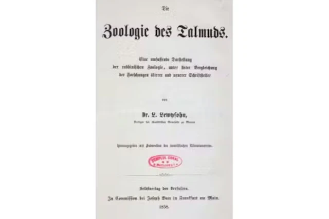 Lewysohn,L.