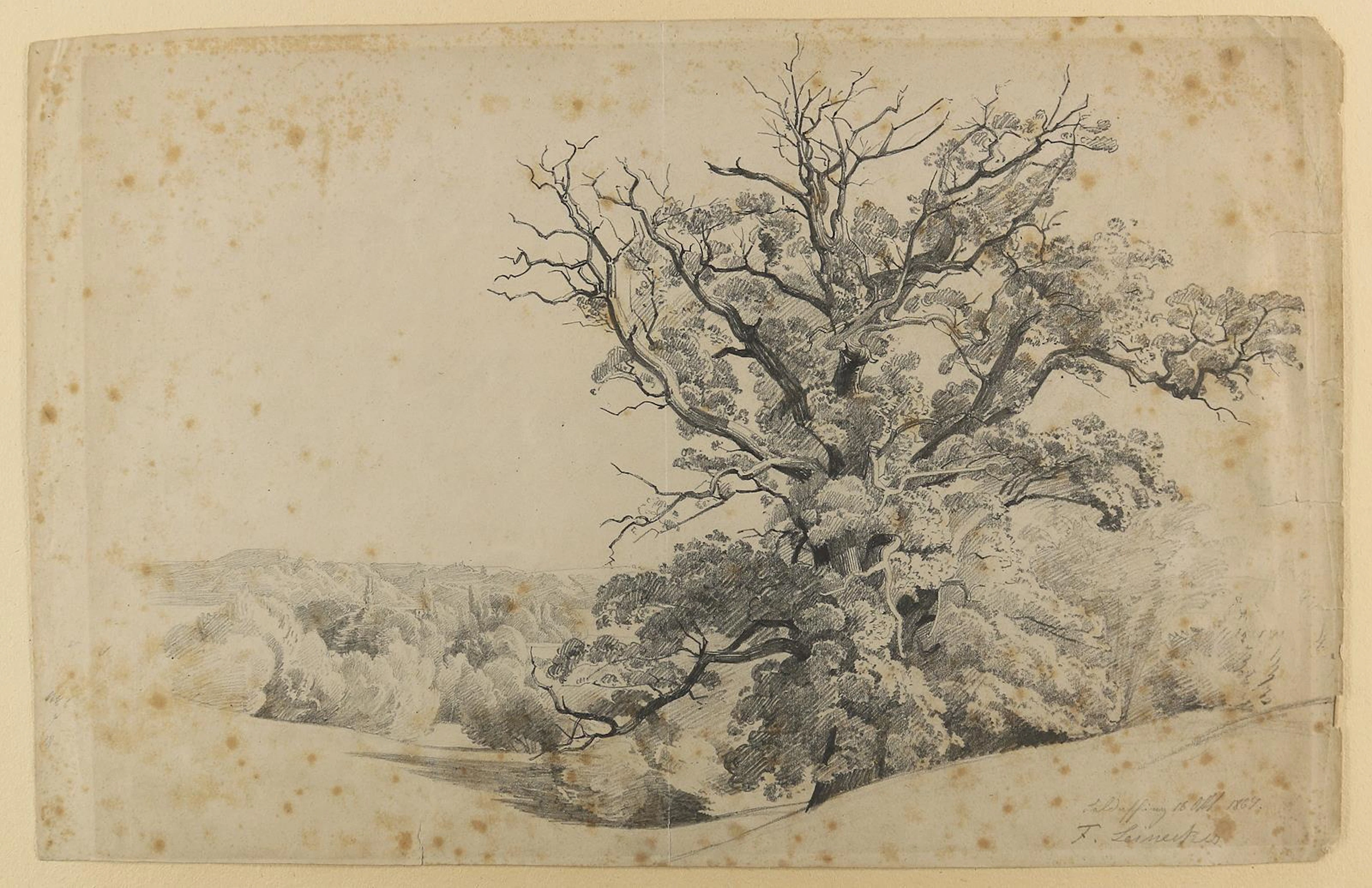 Leinecker, Franz (1825 Würzburg - München 1917). Eiche in weiter Landschaft.