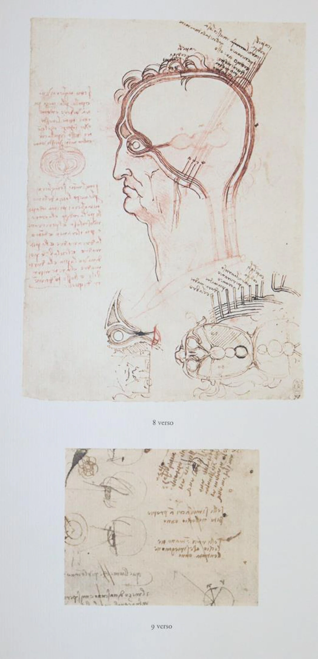 Leonardo da Vinci. Die Zeichnungen und Miscellania in der Sammlung