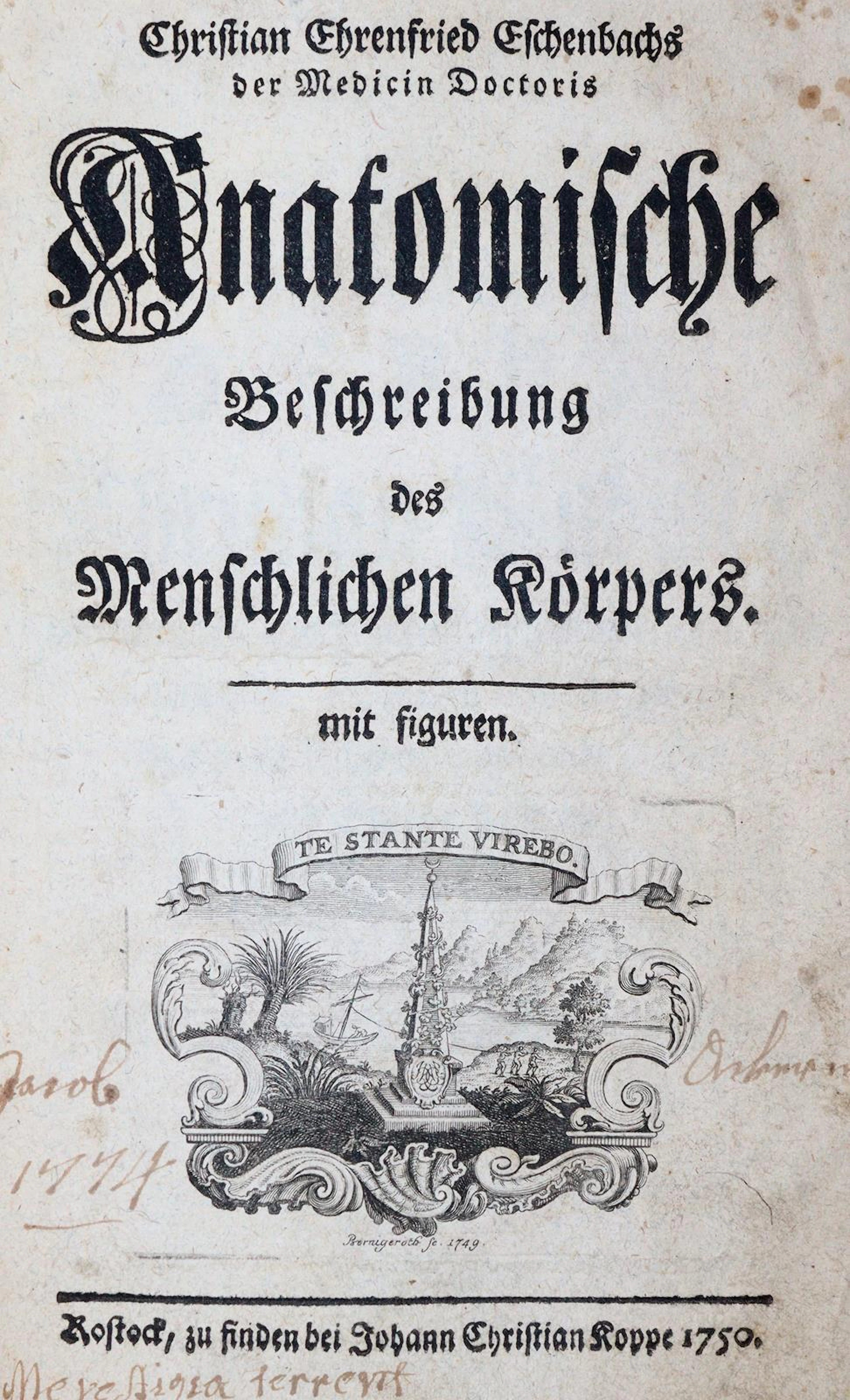 Eschenbach,C.E. Anatomische Beschreibung des menschlichen Körpers.