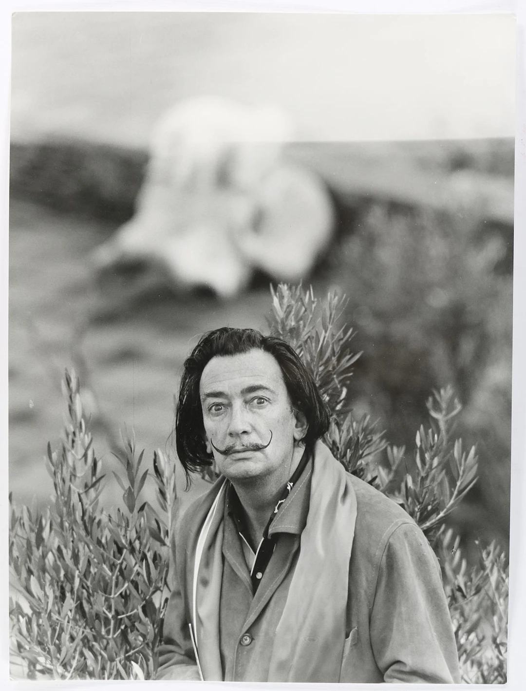 Dali, Salvador. 25 Photographien u.a. von Alberto Durazzi. U.a. Dali