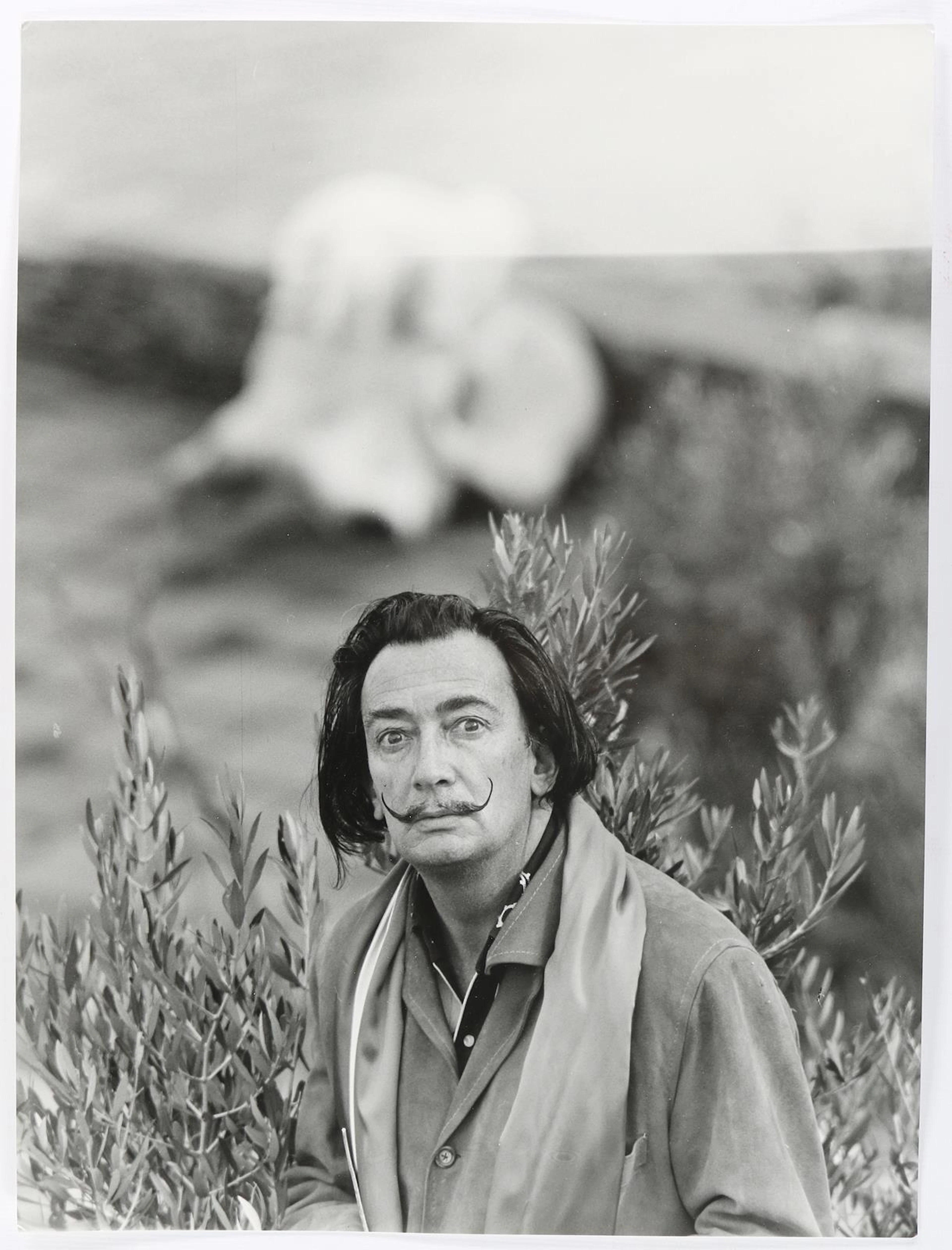 Dali, Salvador. 25 Photographien u.a. von Alberto Durazzi. U.a. Dali