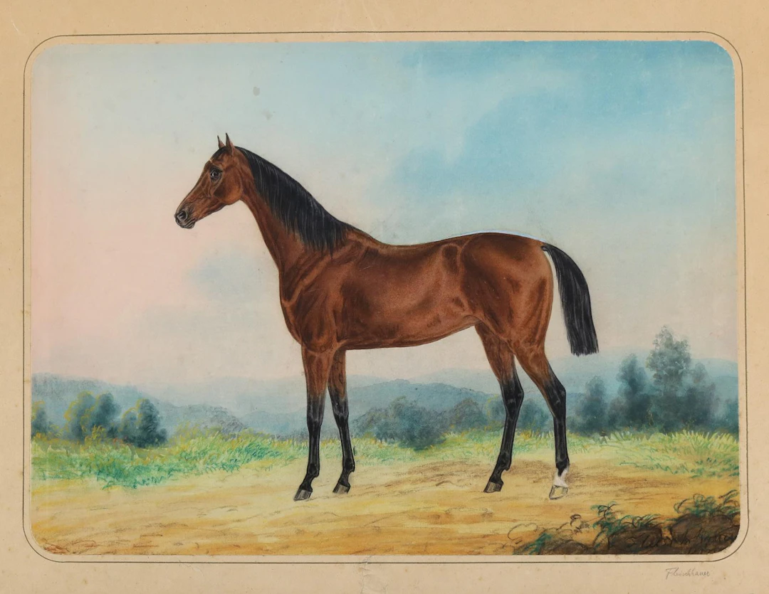 Fleischhauer, Justus Hermann (1816 Reutlingen - Kornwestheim 1885).