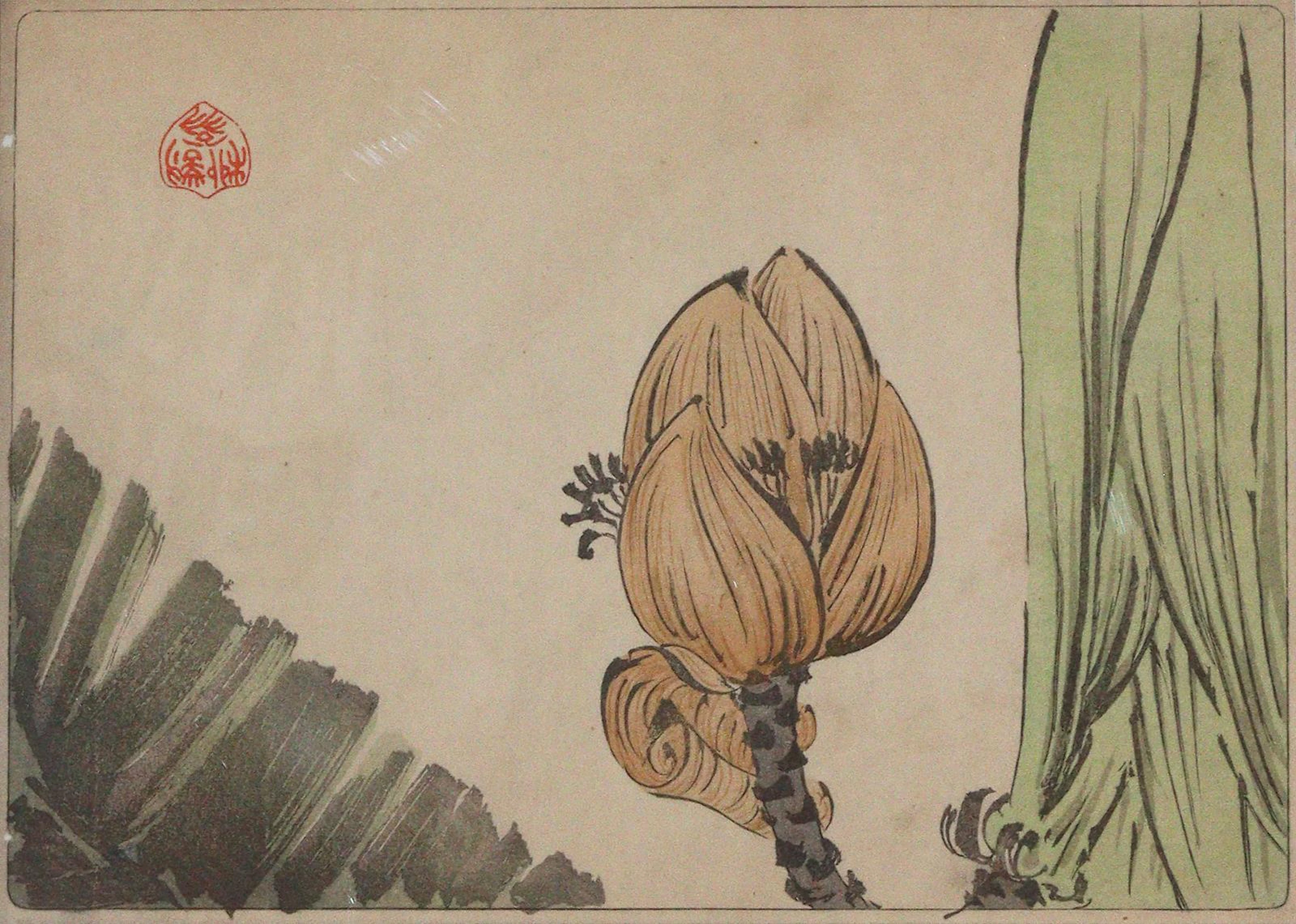 Zeshin, Shibata (1807 Ryogoku 1981). Bananenblüte. Aus "Hana kurabe