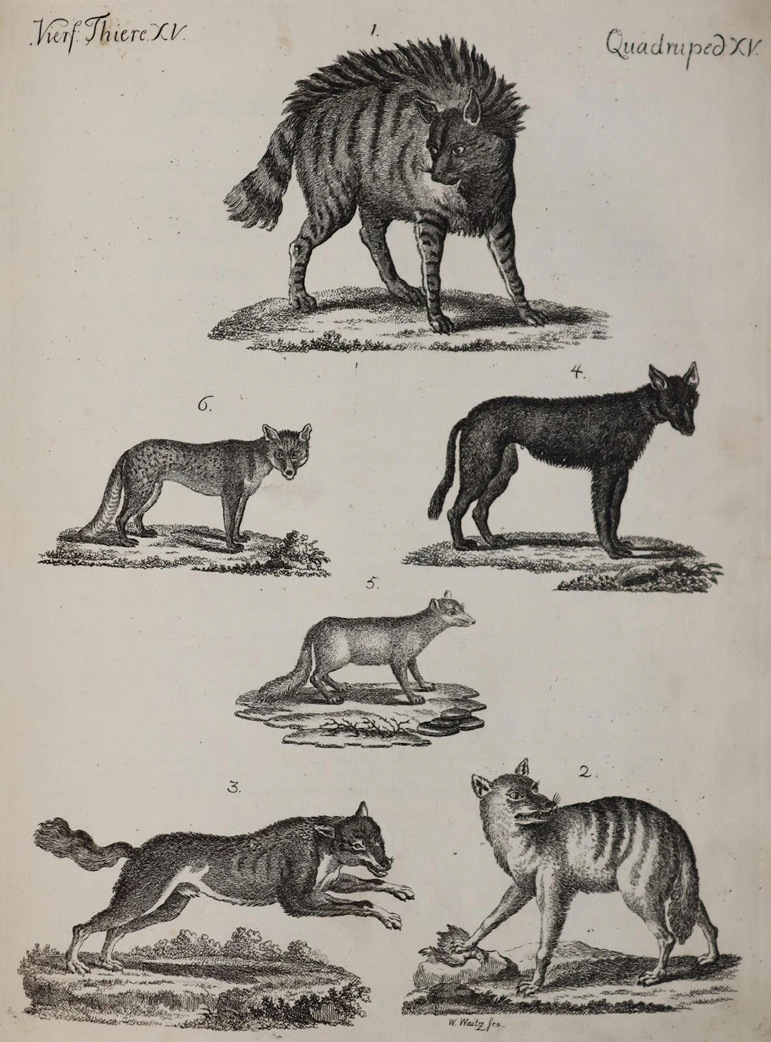 Bertuch,F.J. Bilderbuch für Kinder. Weimar (ca. 1790-1810). 4°. Sammelband