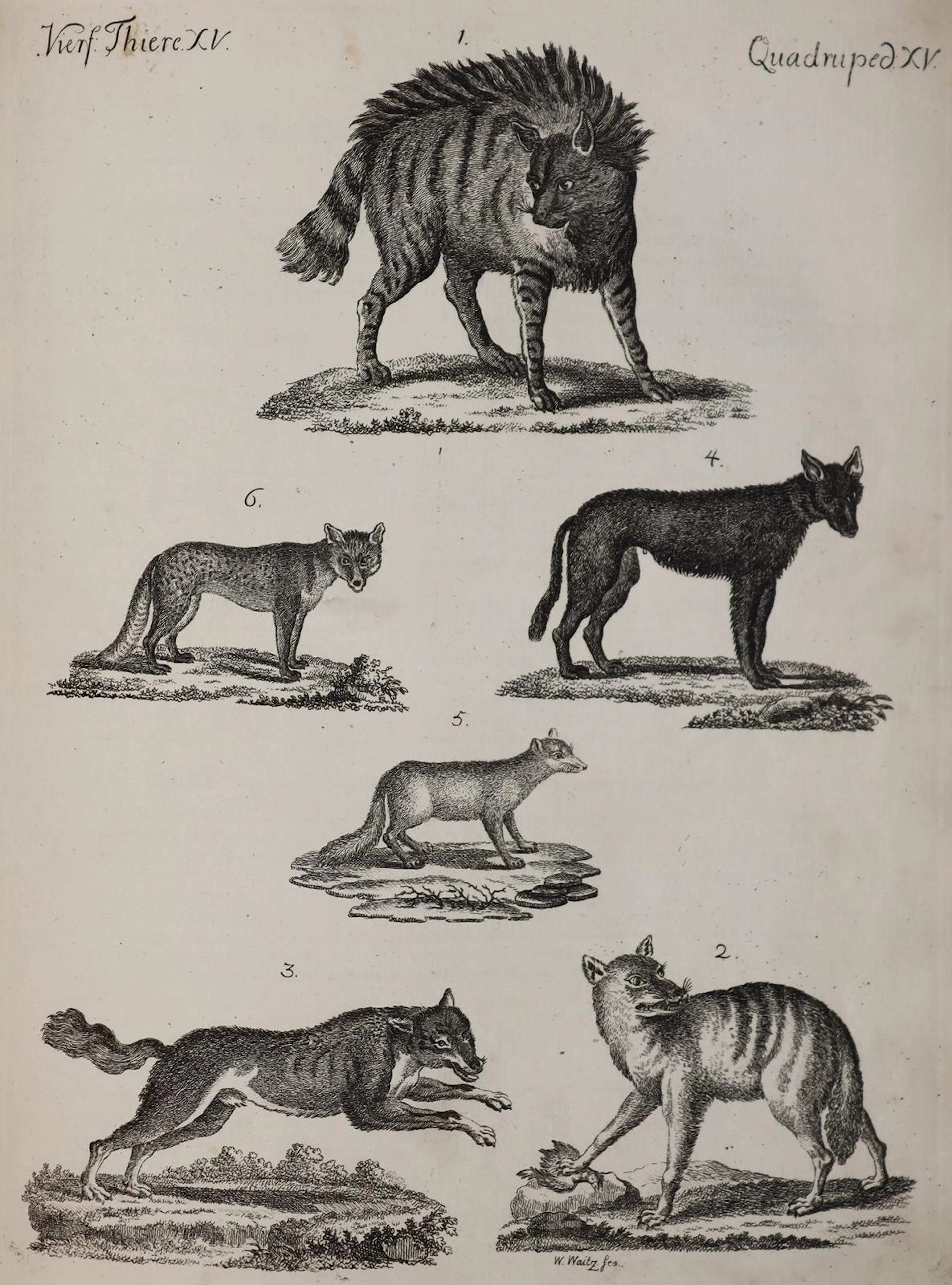 Bertuch,F.J. Bilderbuch für Kinder. Weimar (ca. 1790-1810). 4°. Sammelband