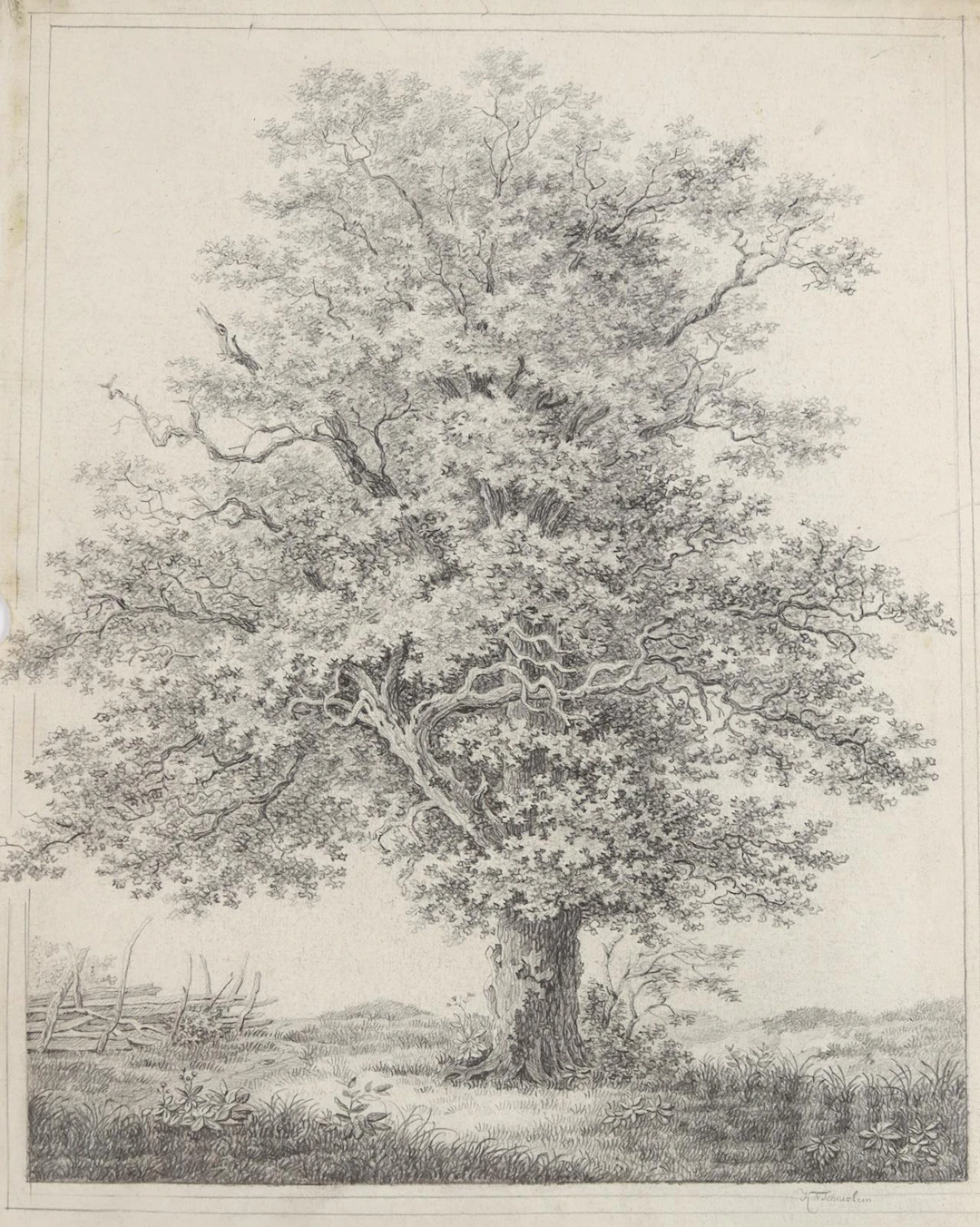 Schnizlein, Karl Friedrich (1780 - 1856)