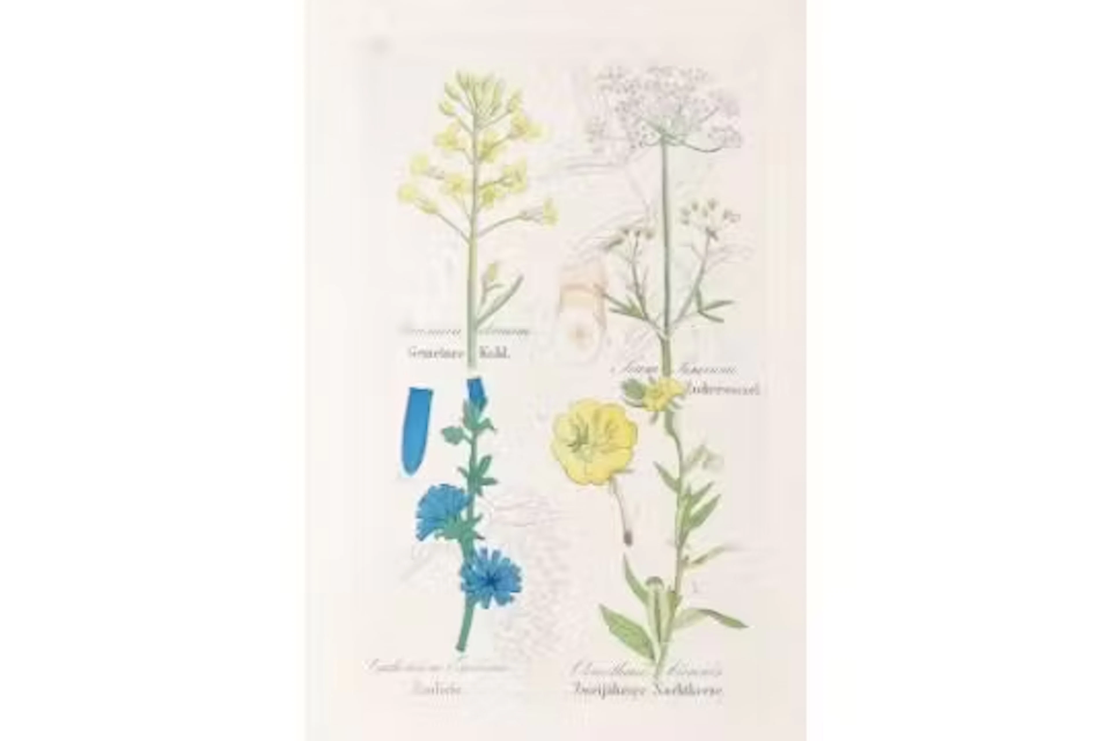 Loebe,W.