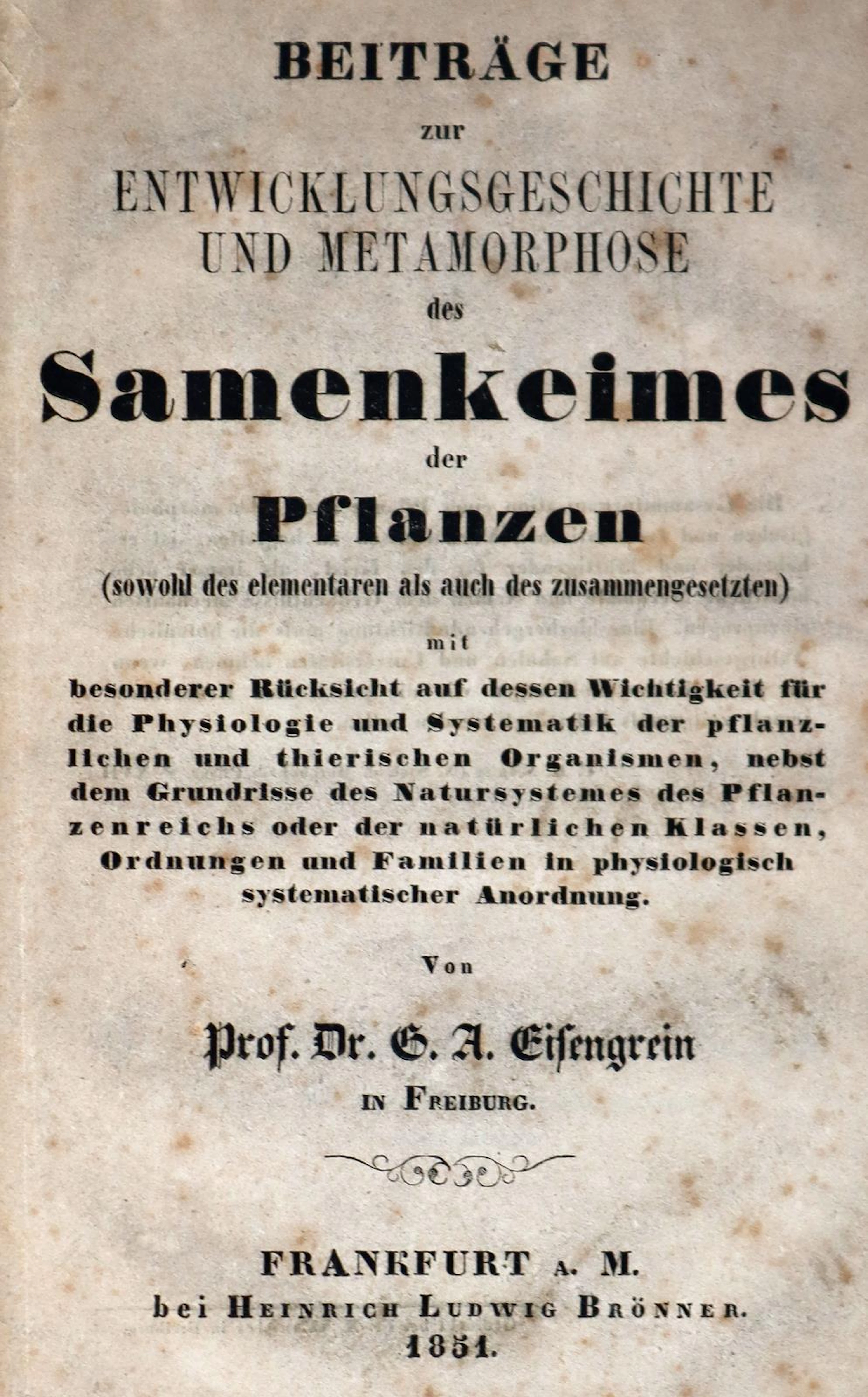Eisengrein,G.A. Beiträge zur Entwicklungsgeschichte und Metamorphose