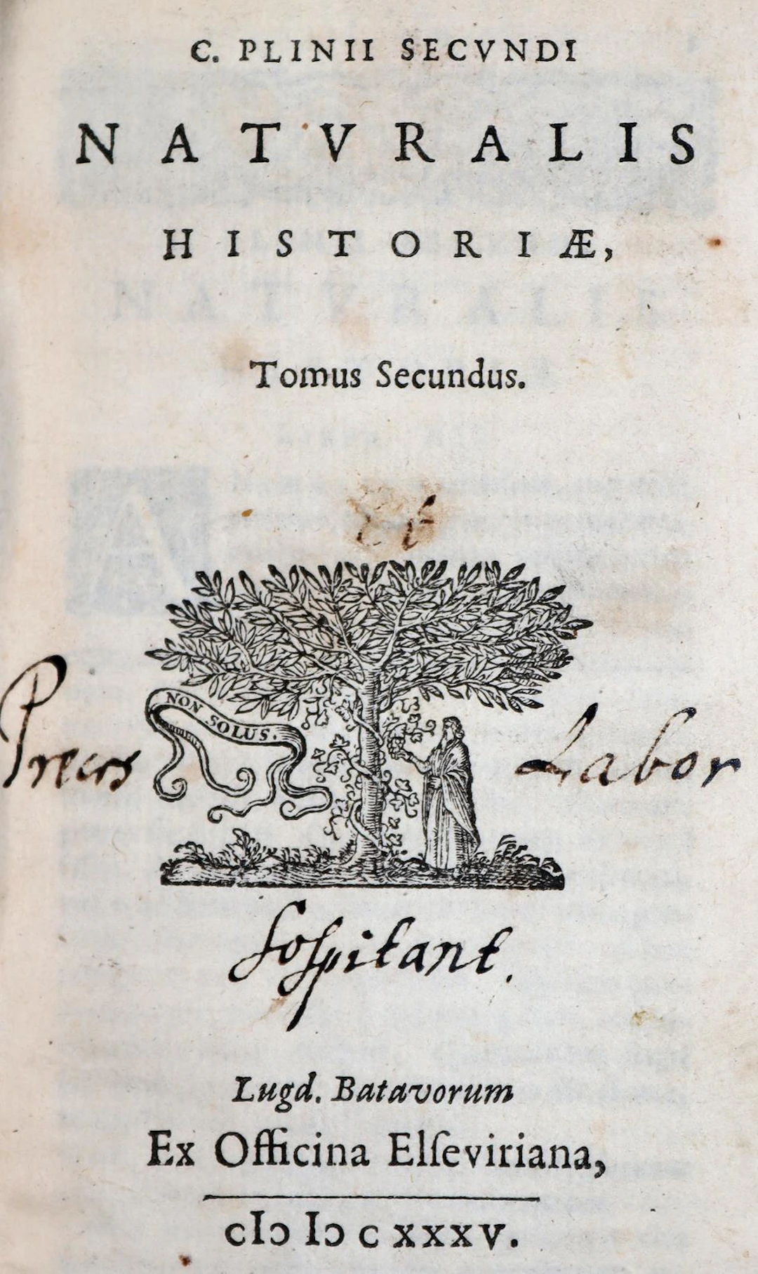 Plinius,S.C. Naturalis Historiae Libri XXXVII. Bde. 1 u. 2. Elzevir