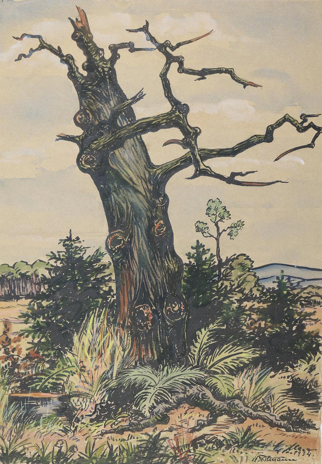 Böllman, Ludwig. Deutsche Eiche. Tusche mit Aquarell auf festem Papier.