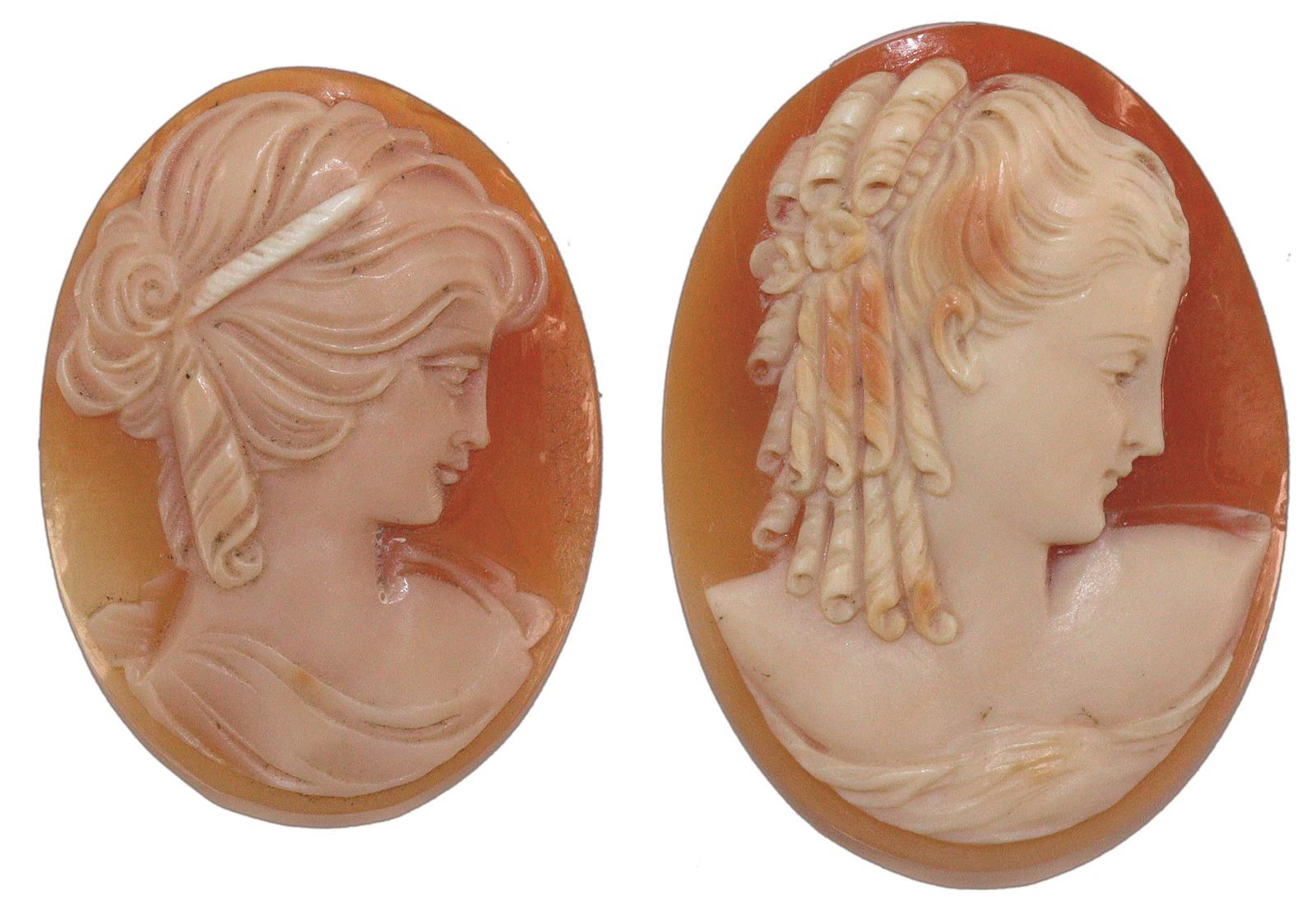 Muschelgemme. Feine Muschelkamee