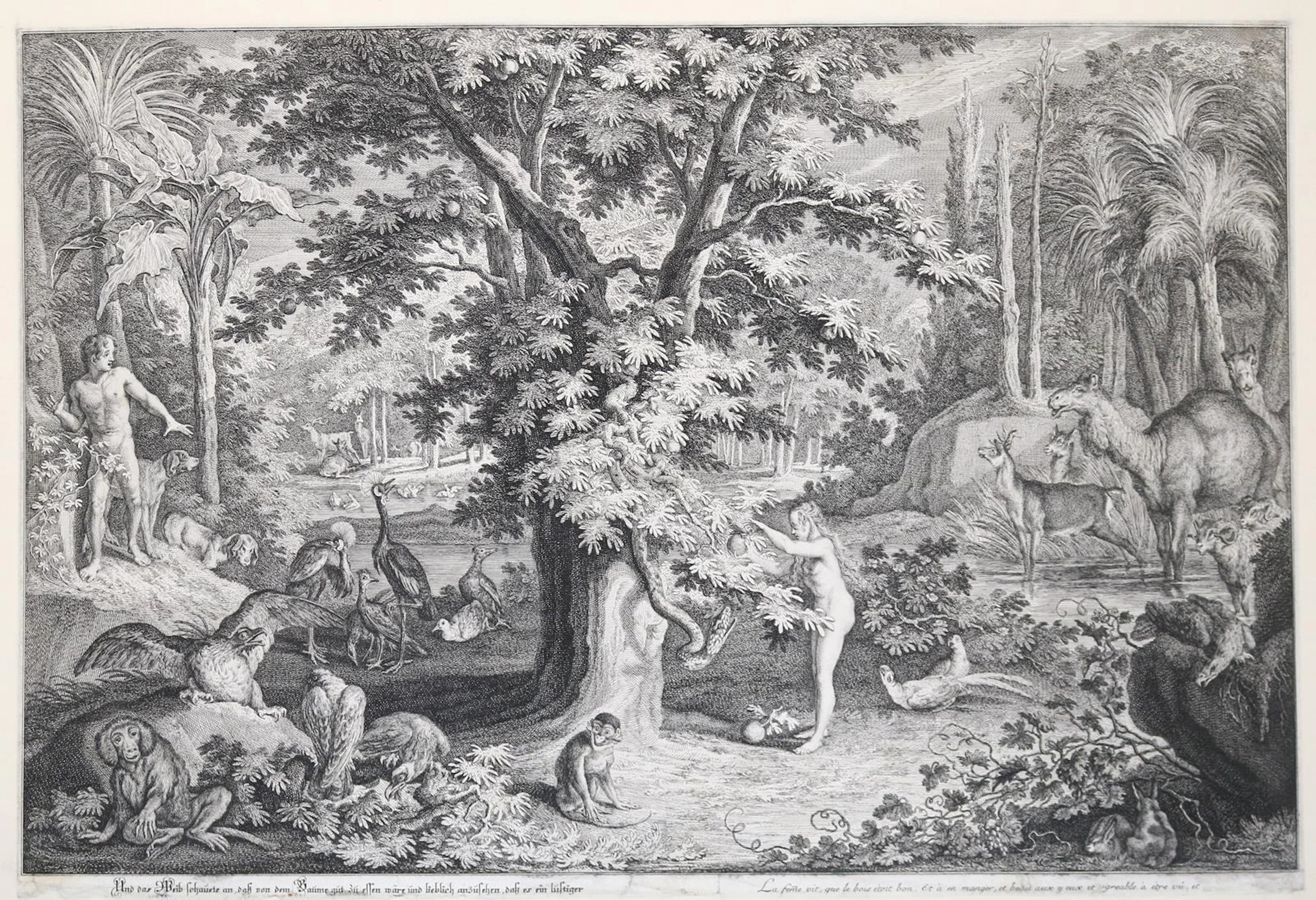 Ridinger, Johann Elias (1695 Ulm 1767). Das Paradies oder die Schöpfung