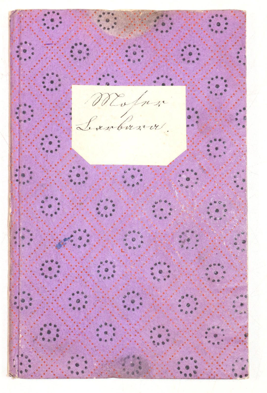 Dienstbotenbuch für Barbara Moser (geb. 1859)