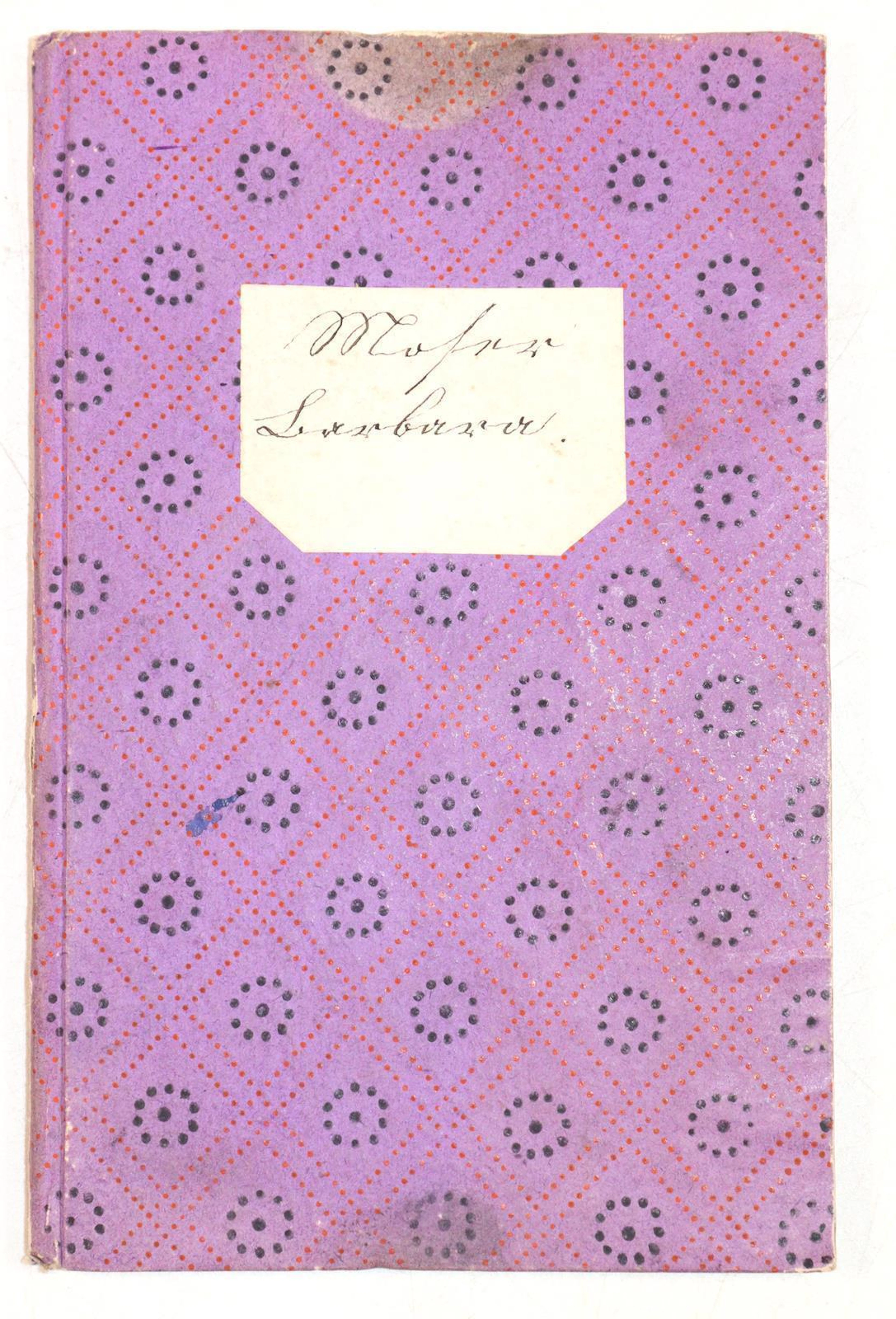 Dienstbotenbuch für Barbara Moser (geb. 1859)