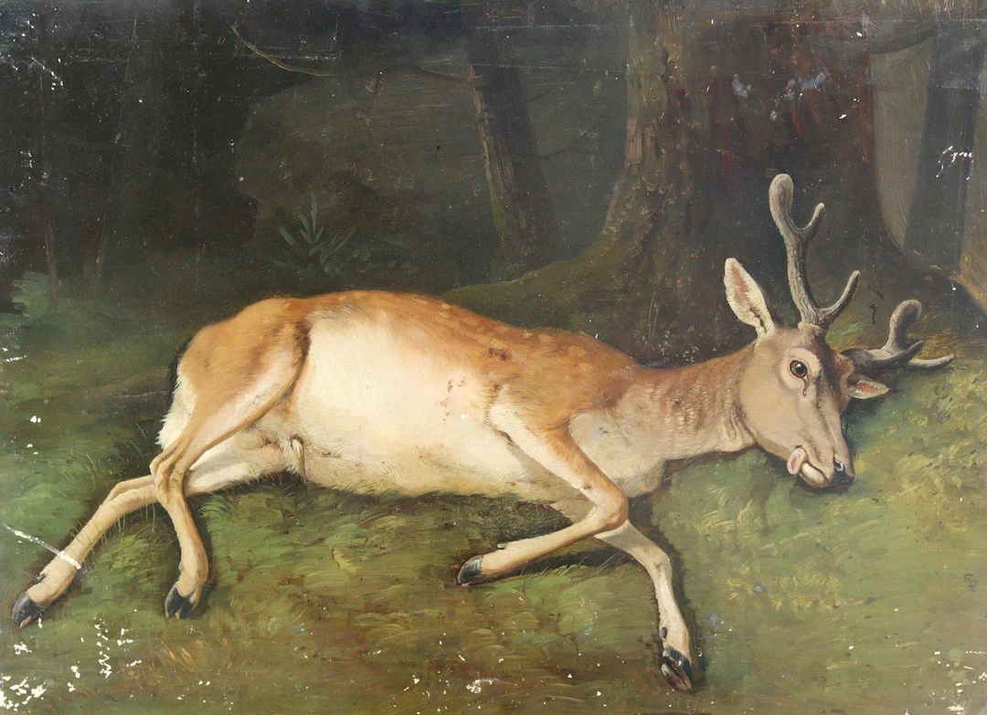 Schleich, August (1814 München 1865). Liegender Hirsch. Öl auf Platte.