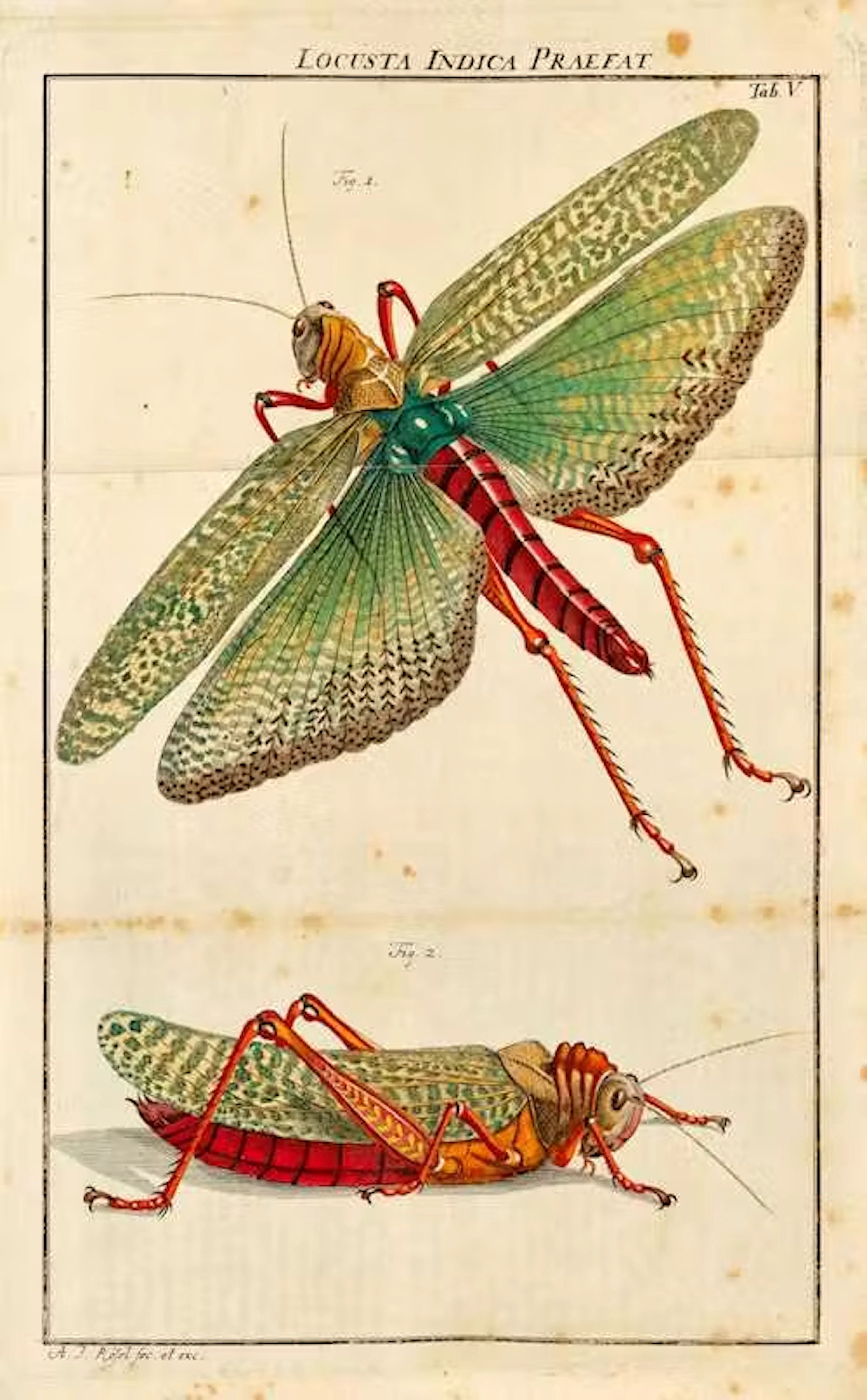 ZOOLOGIE -
