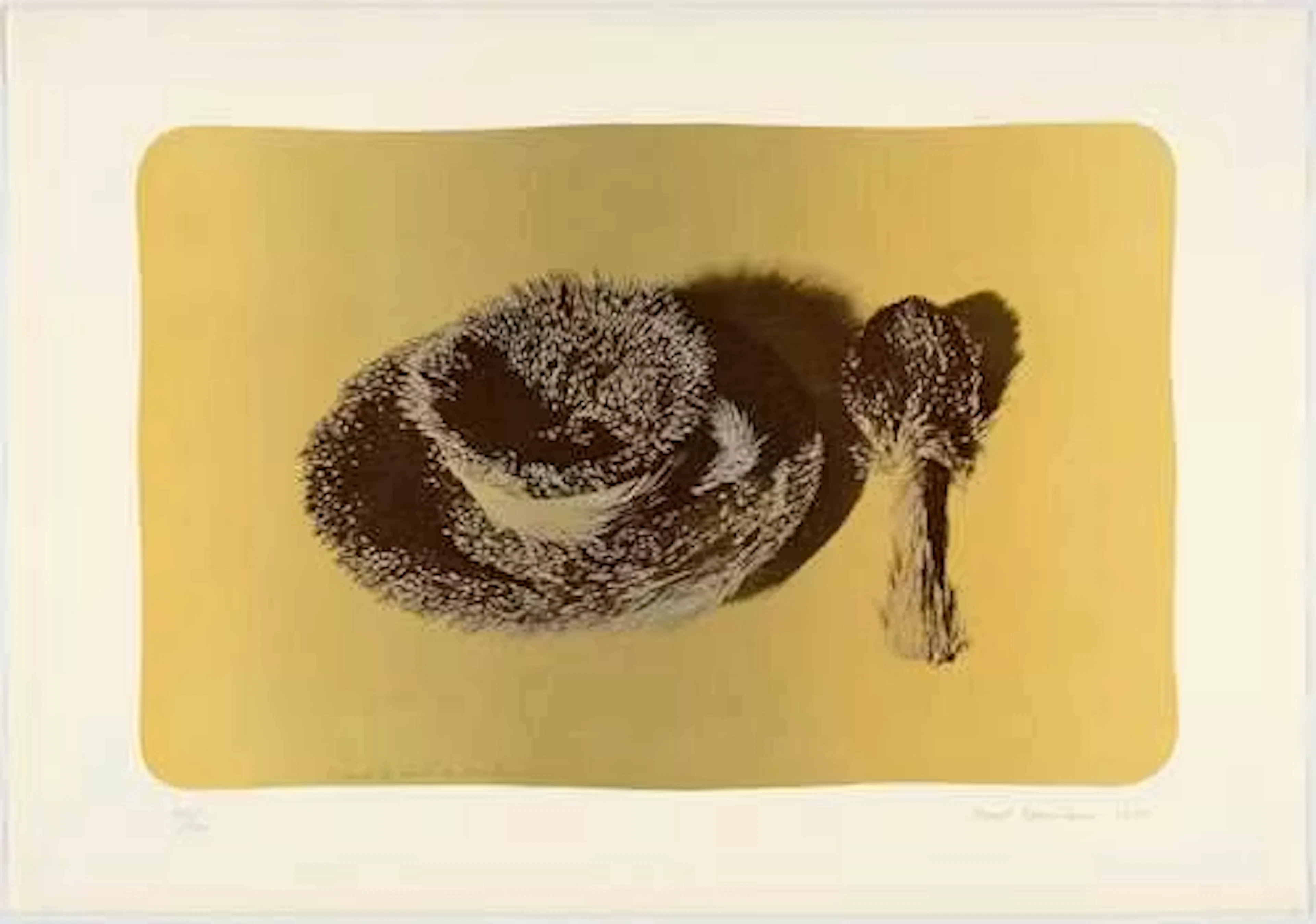 MERET OPPENHEIM