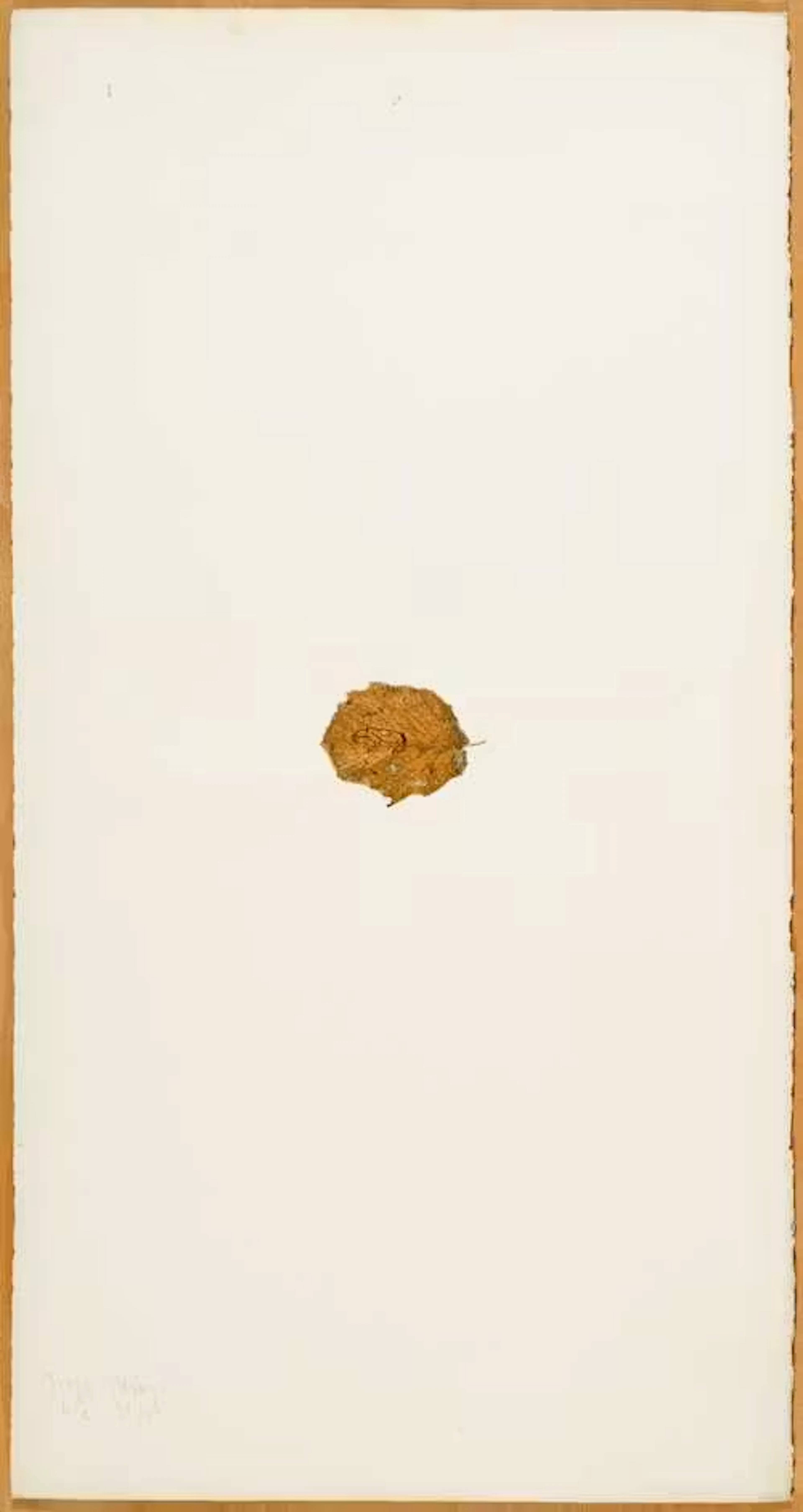 JOSEPH BEUYS