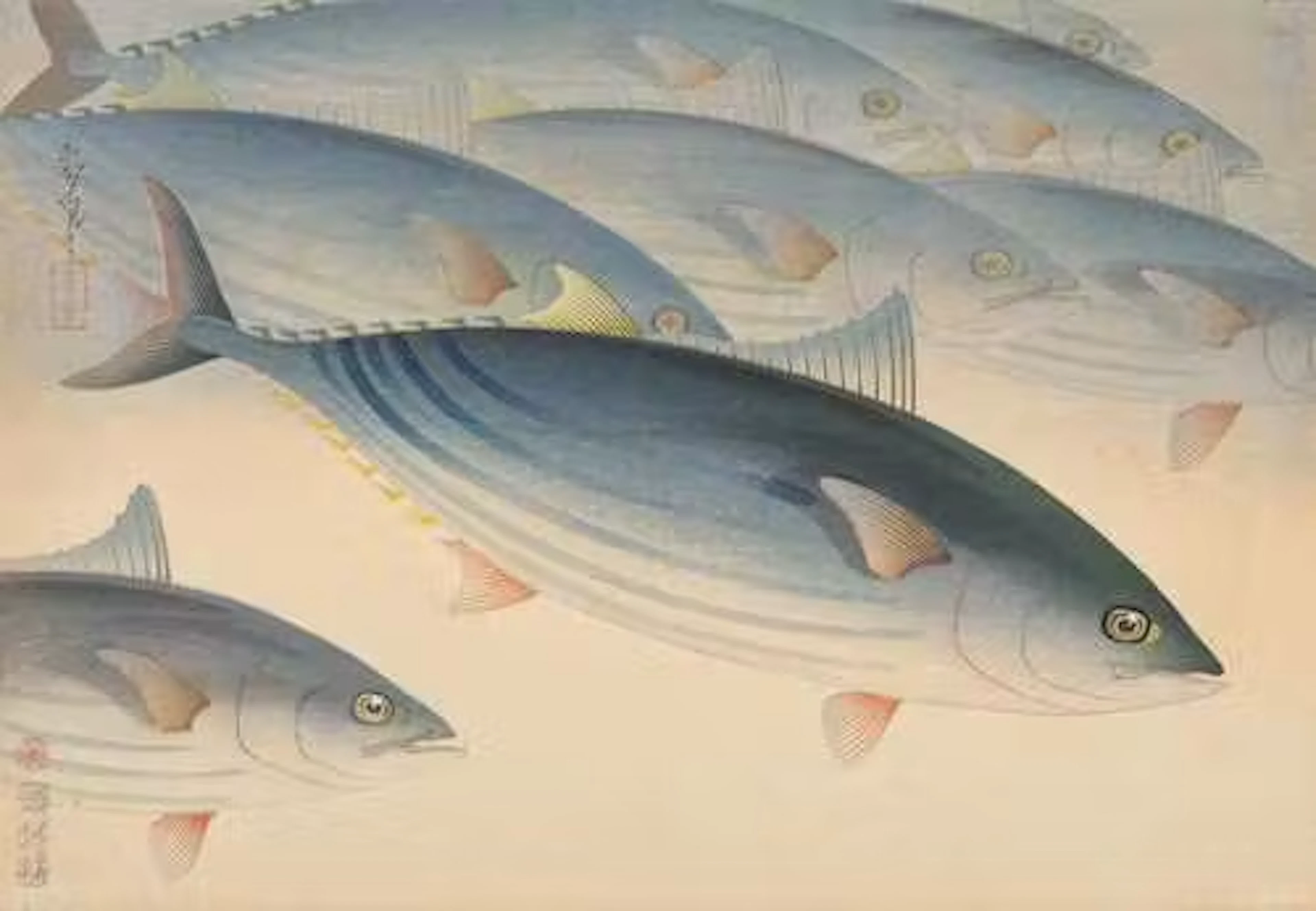 33 SHIN-HANGA FROM THE SERIES GREAT JAPANESE FISH PICTURE COLLECTION
