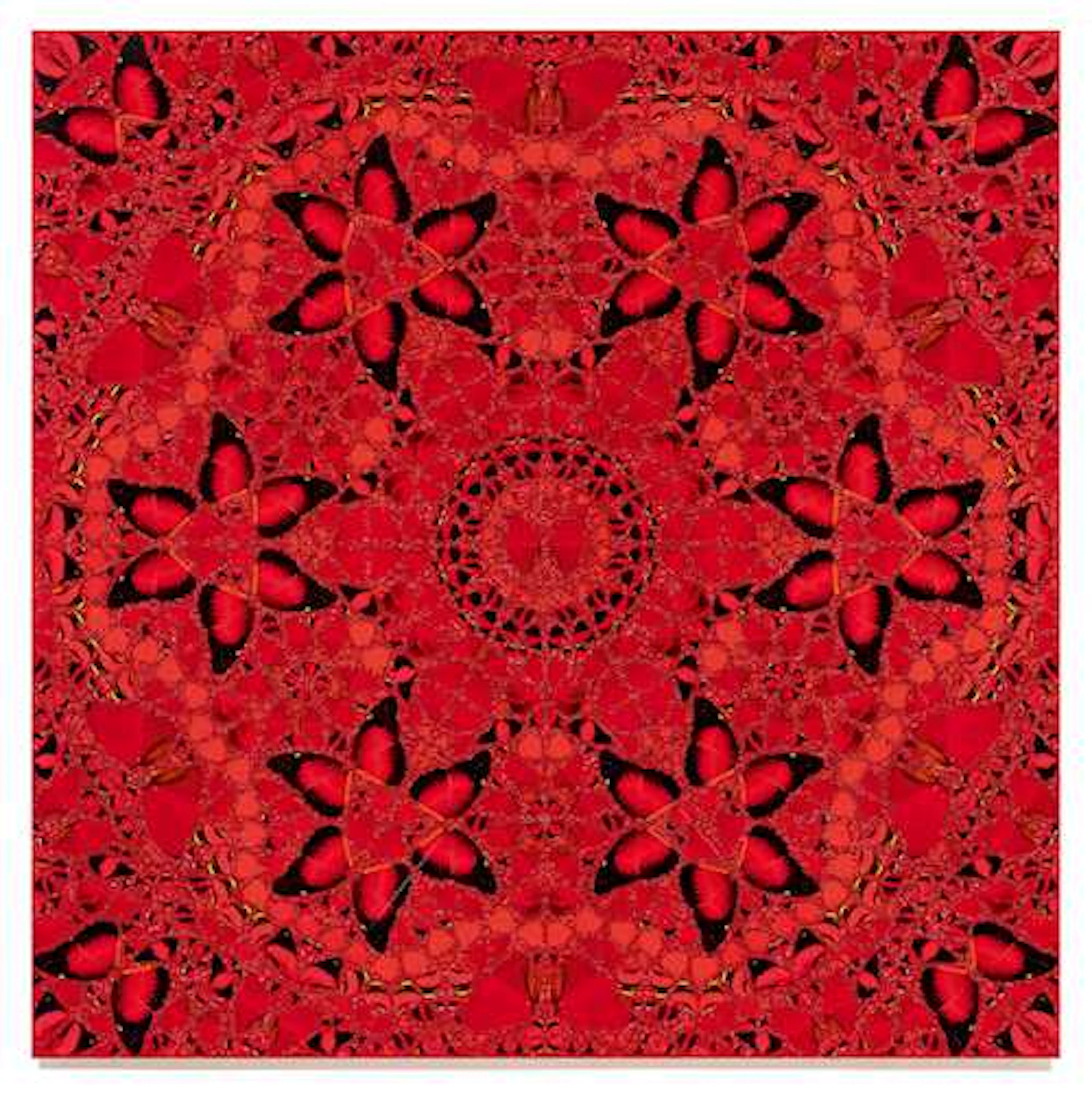 DAMIEN HIRST