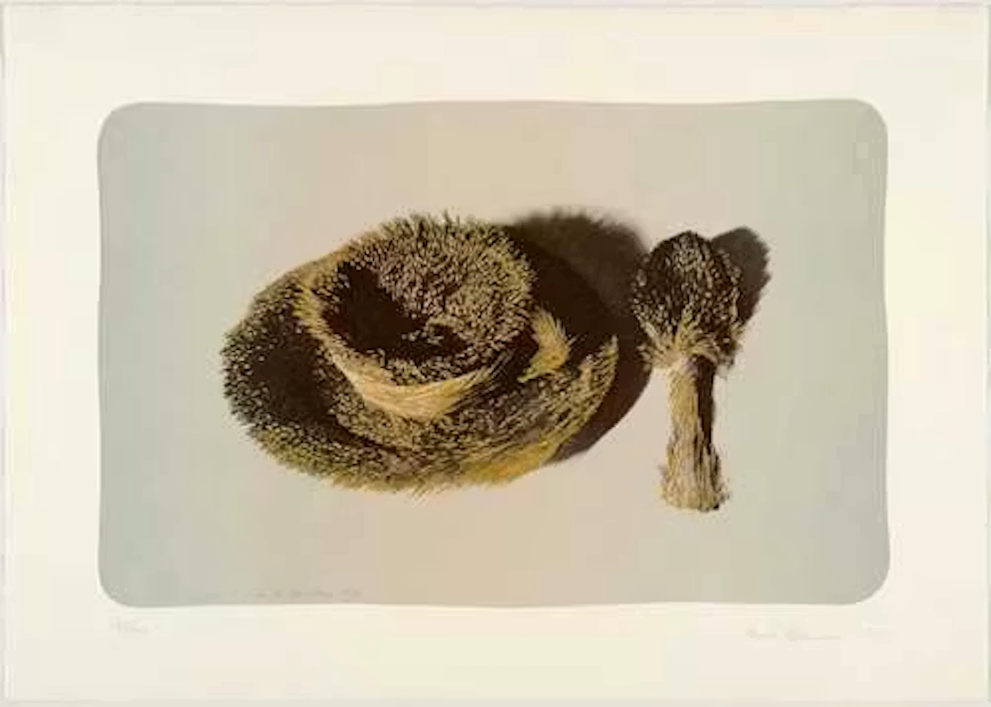 MERET OPPENHEIM