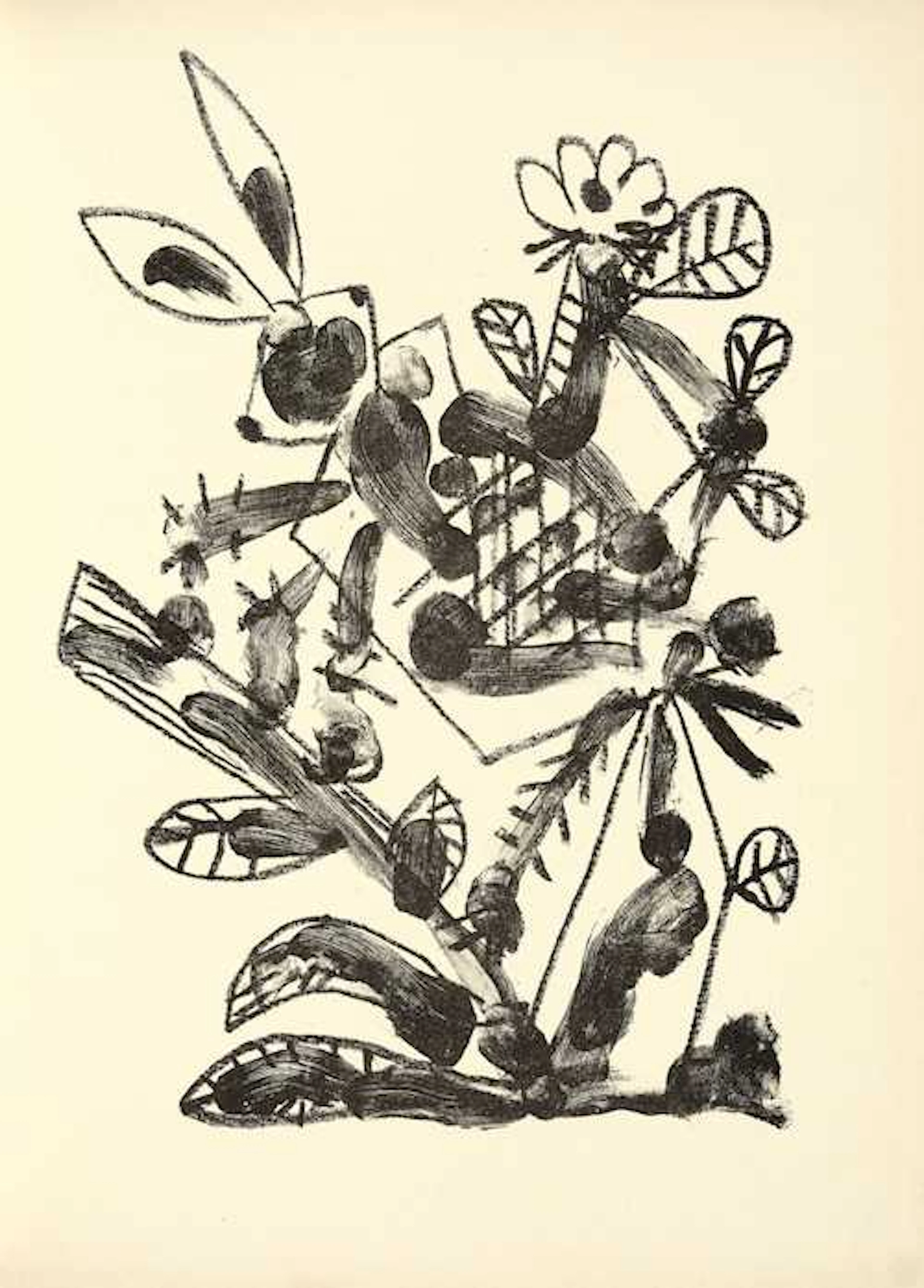 Picasso, Pablo -