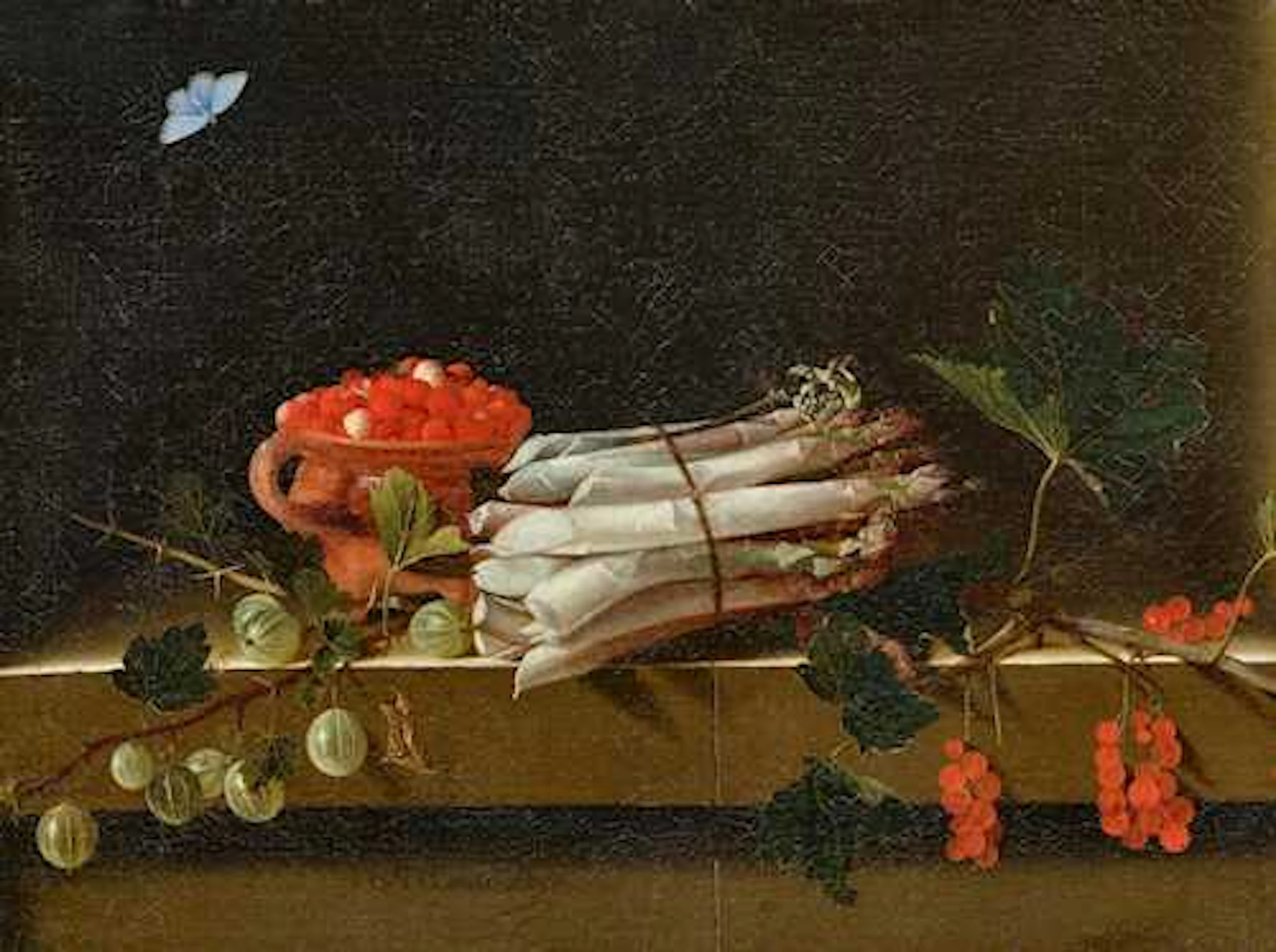 ADRIAEN COORTE