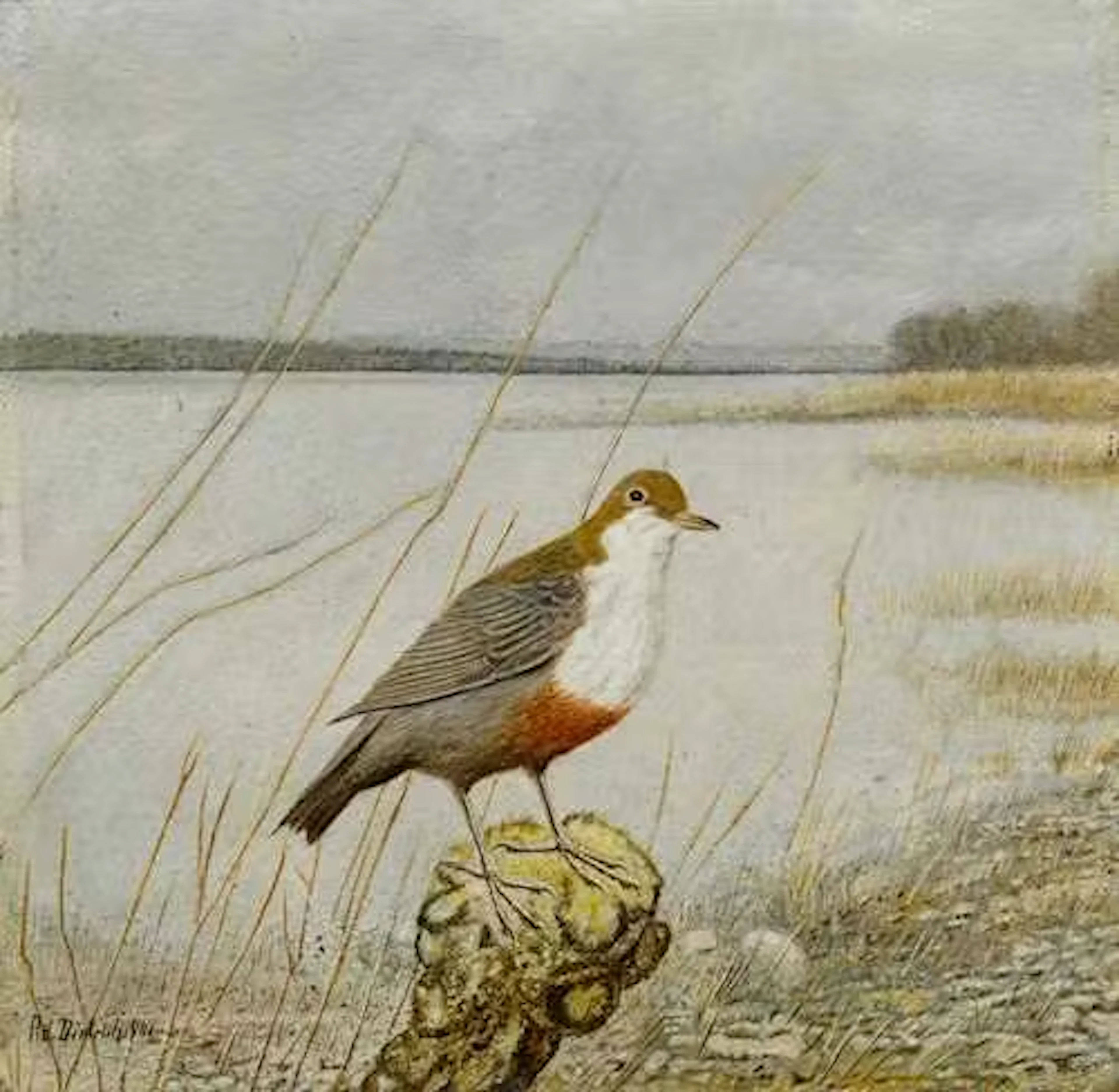 ADOLF DIETRICH