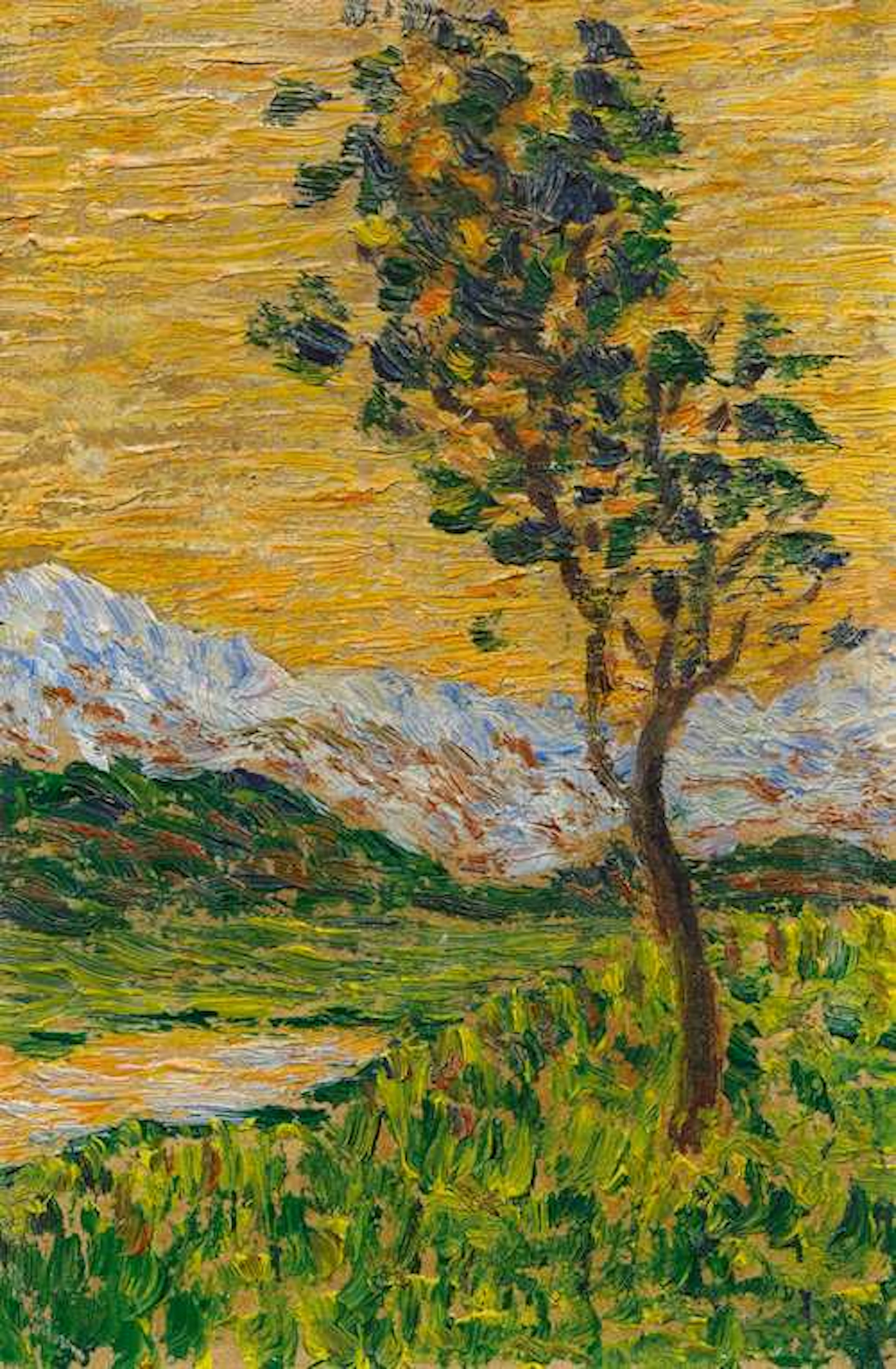 GOTTARDO SEGANTINI