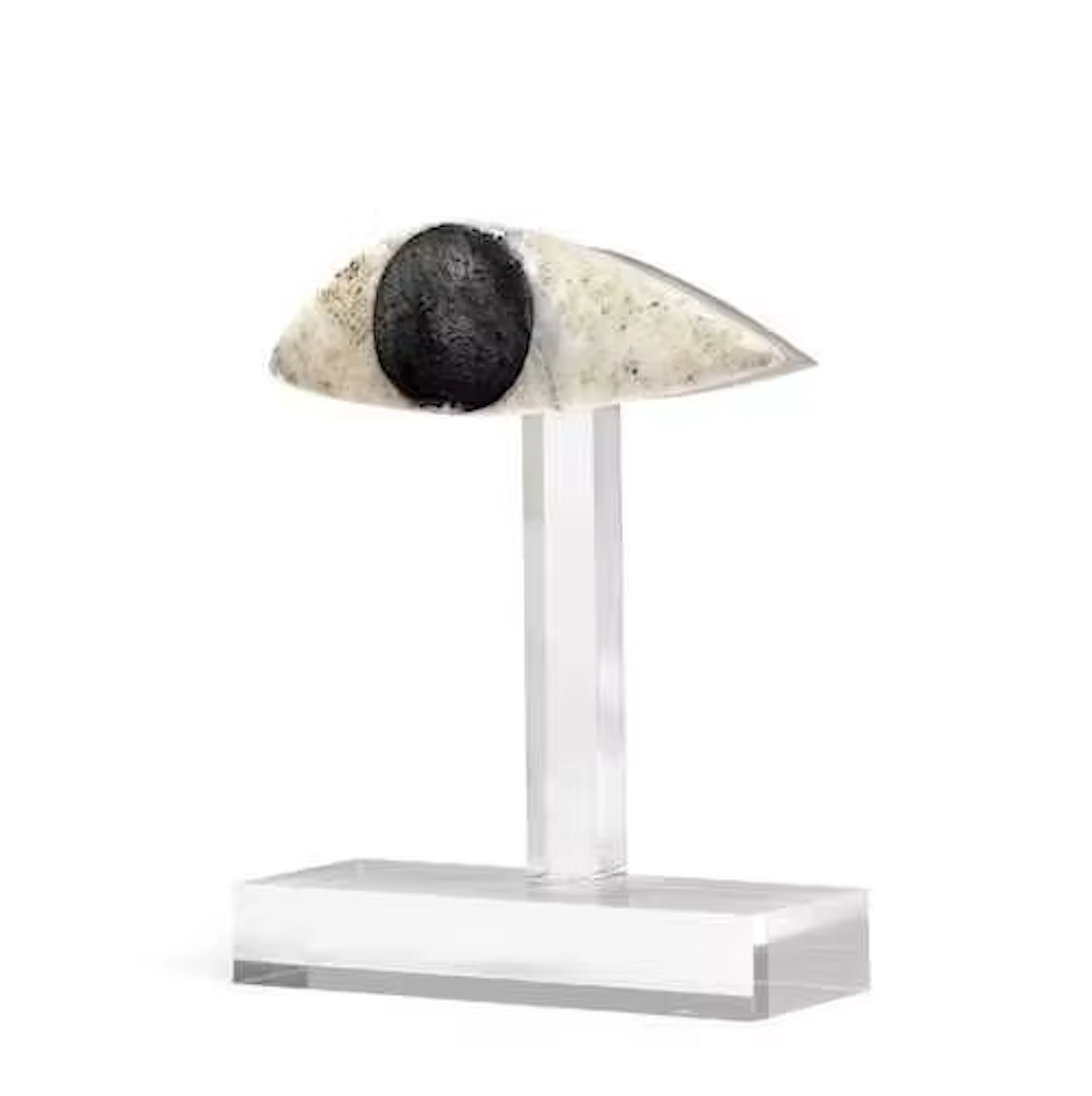 EYE INLAY