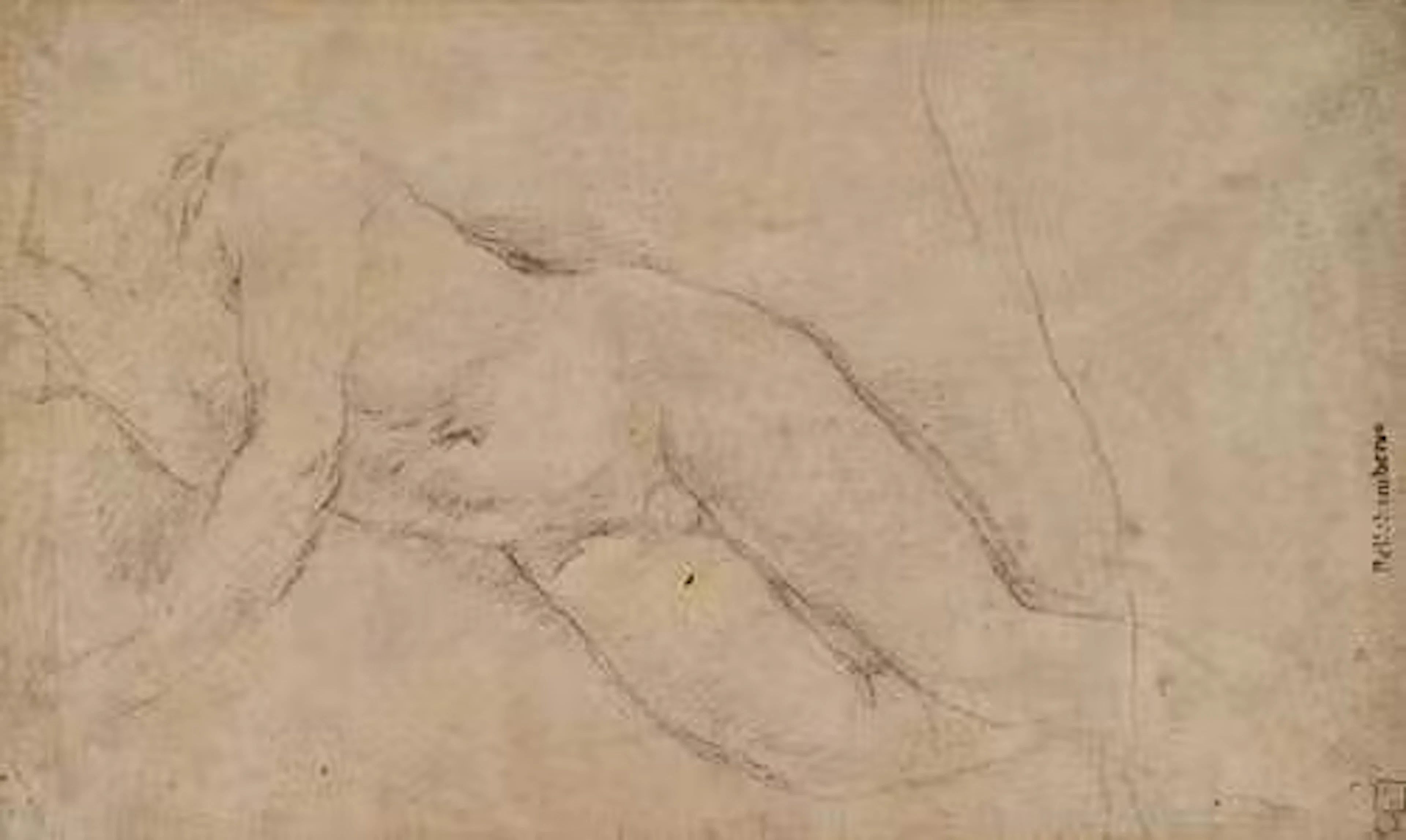Studio of GUIDO RENI