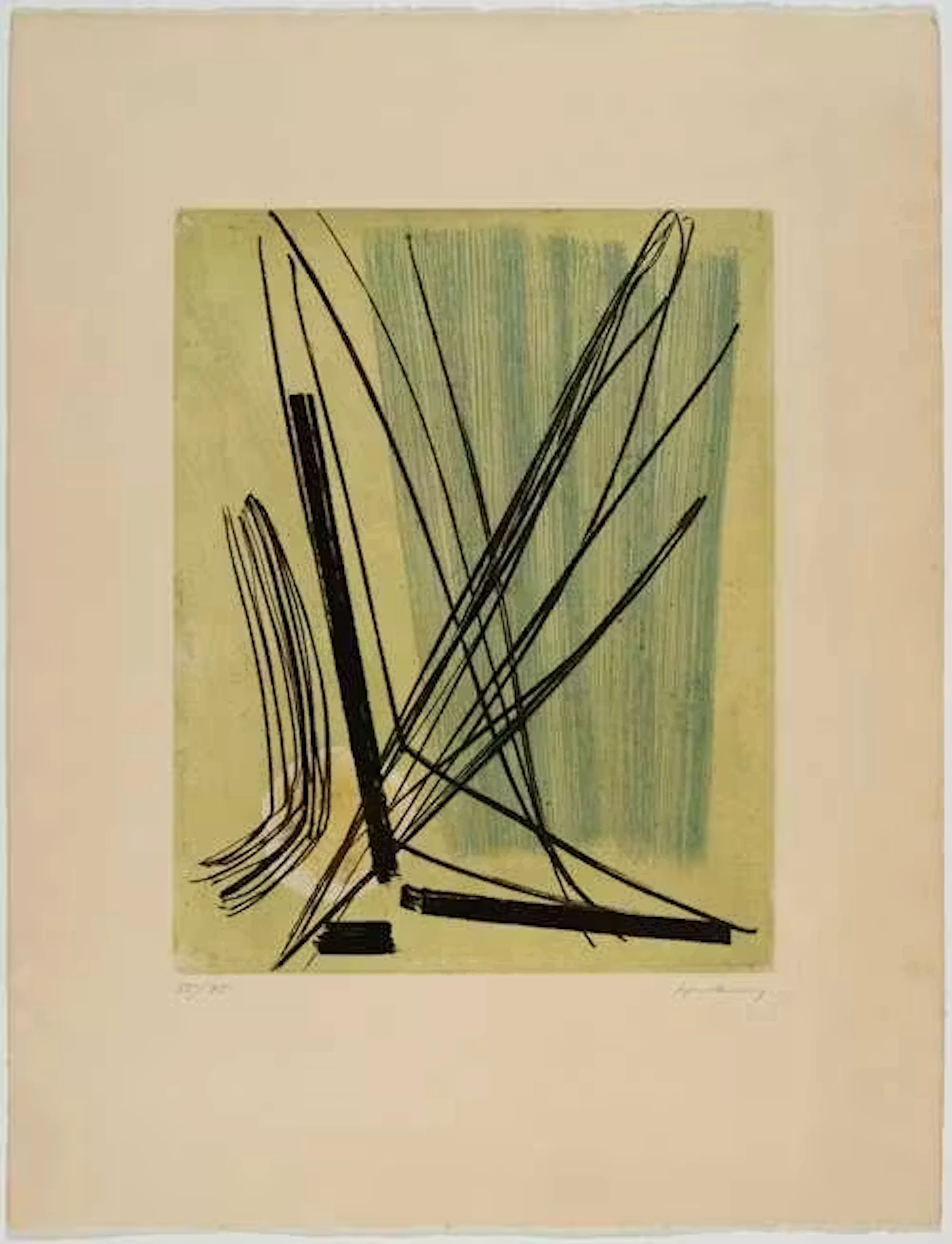 HANS HARTUNG