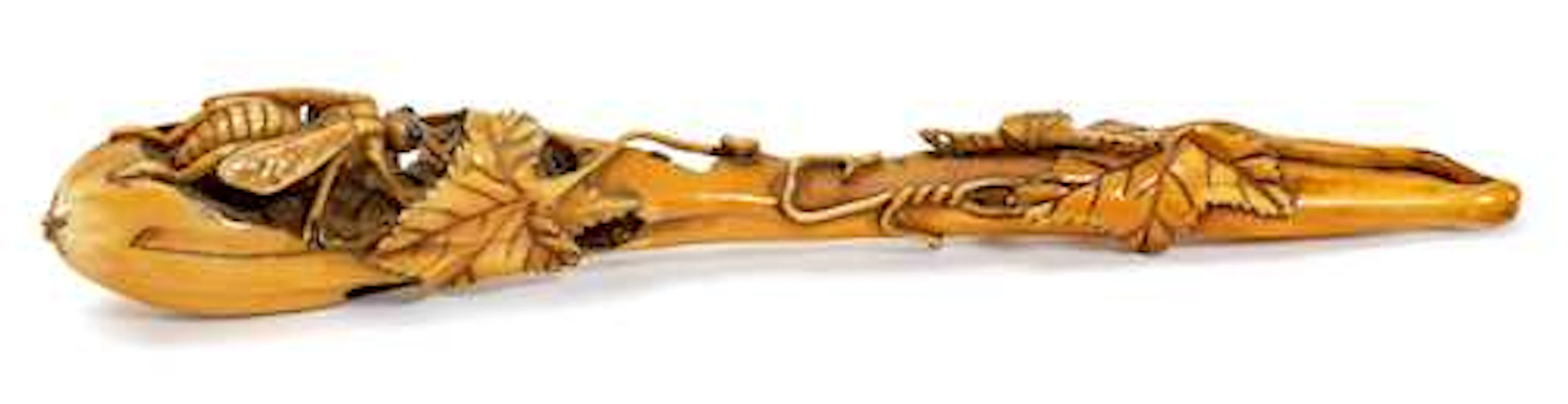 A SASHI NETSUKE OF A ROTTING SNAKE GOURD WITH WASPS