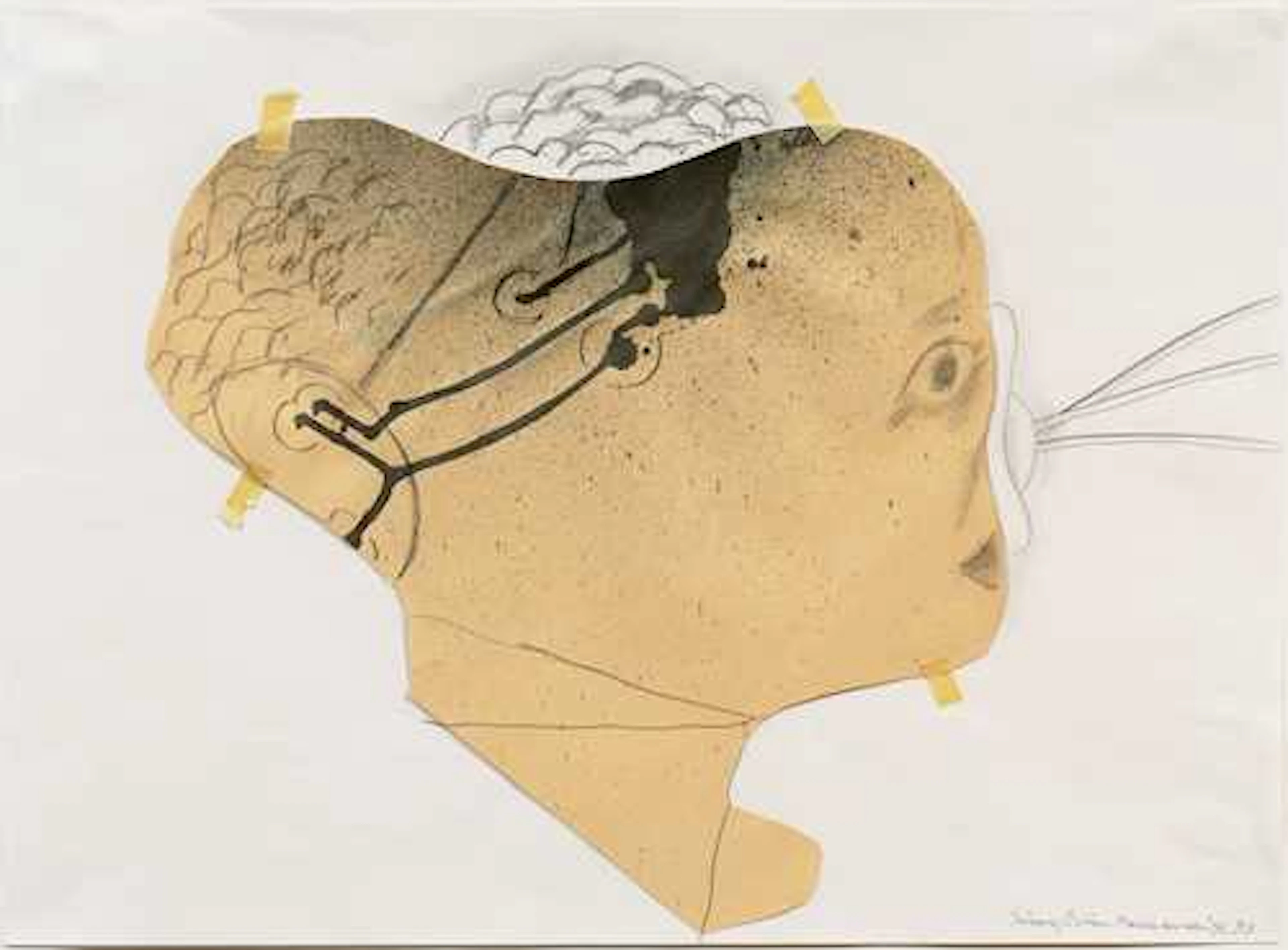 MARIA LASSNIG
