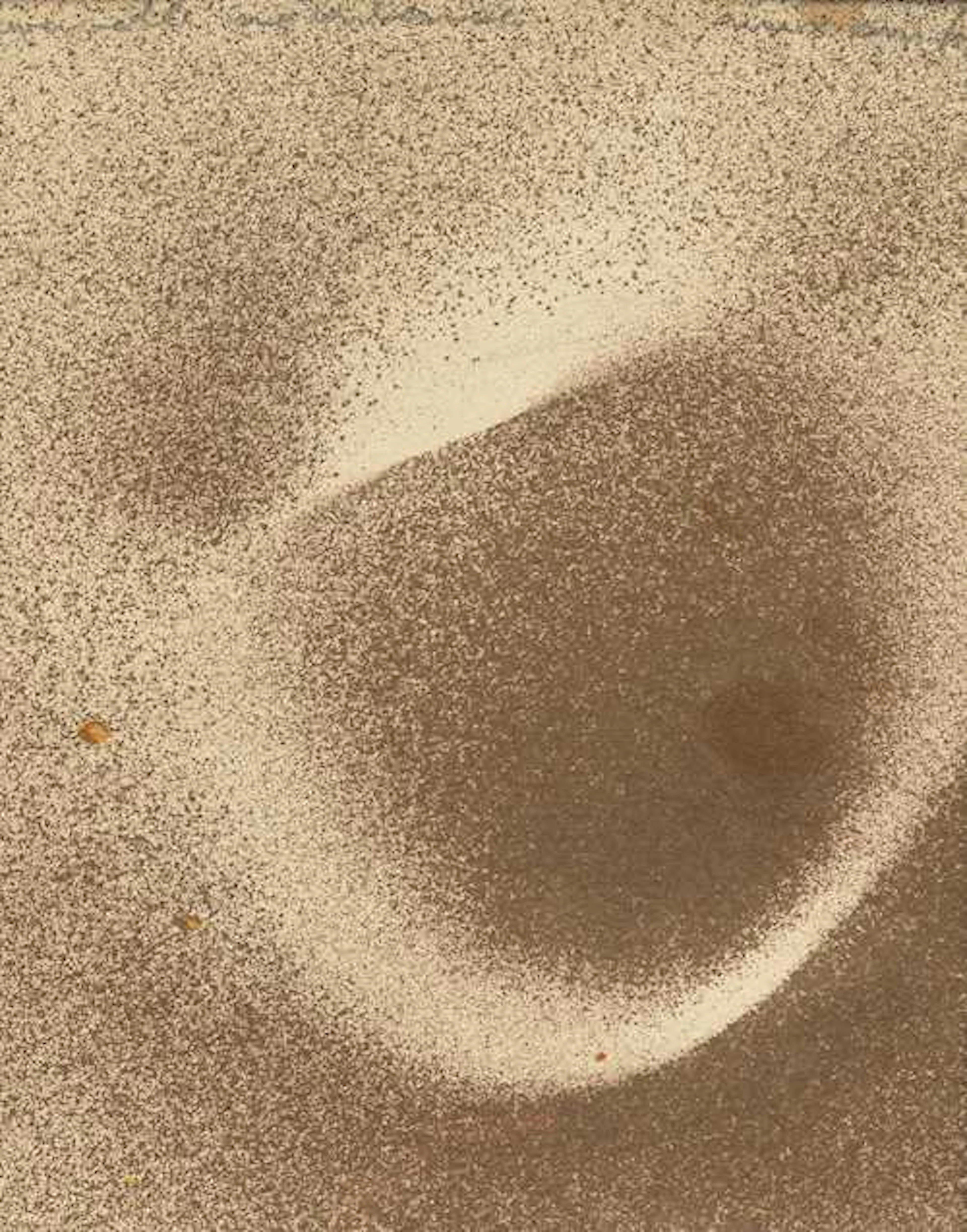 MAX ERNST