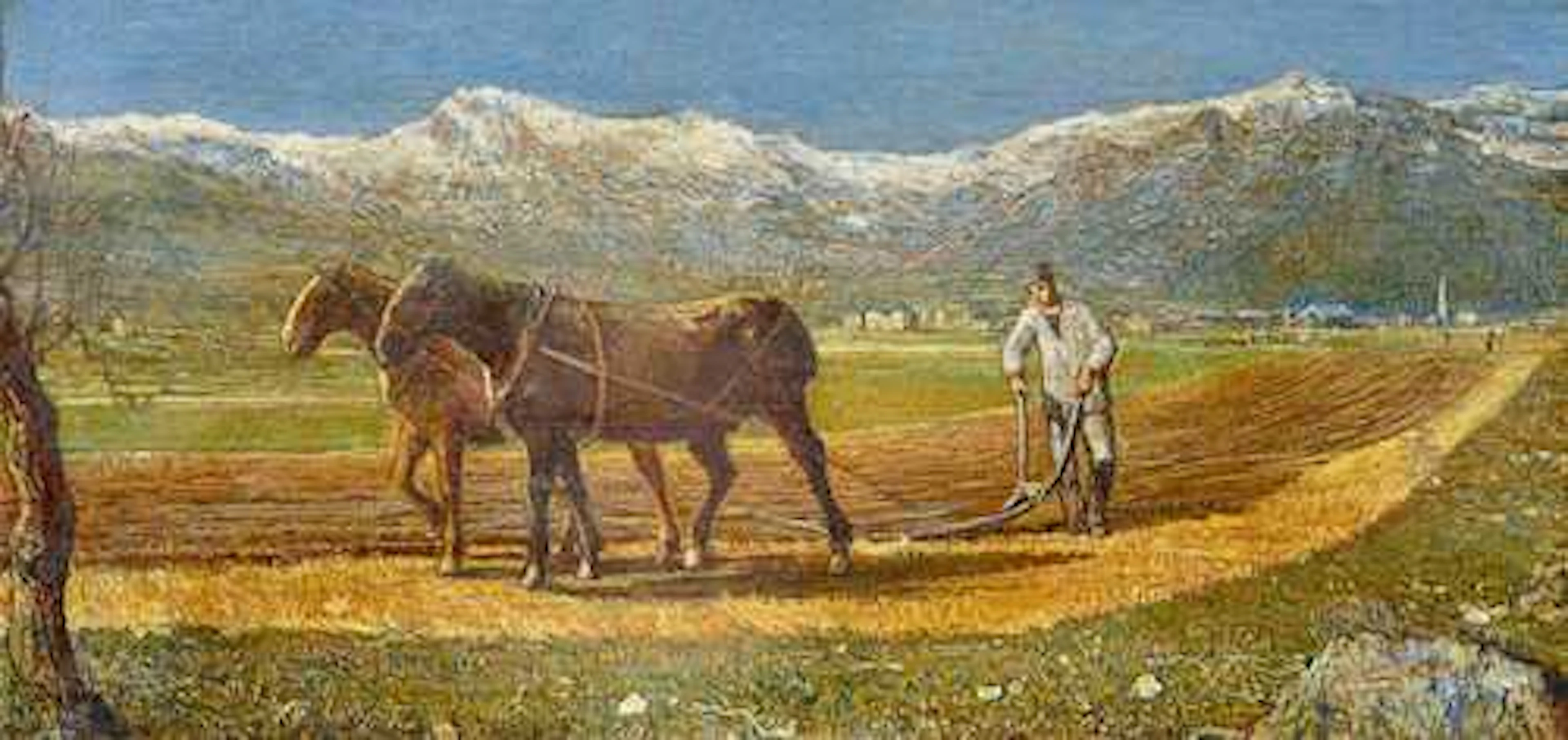 GOTTARDO SEGANTINI
