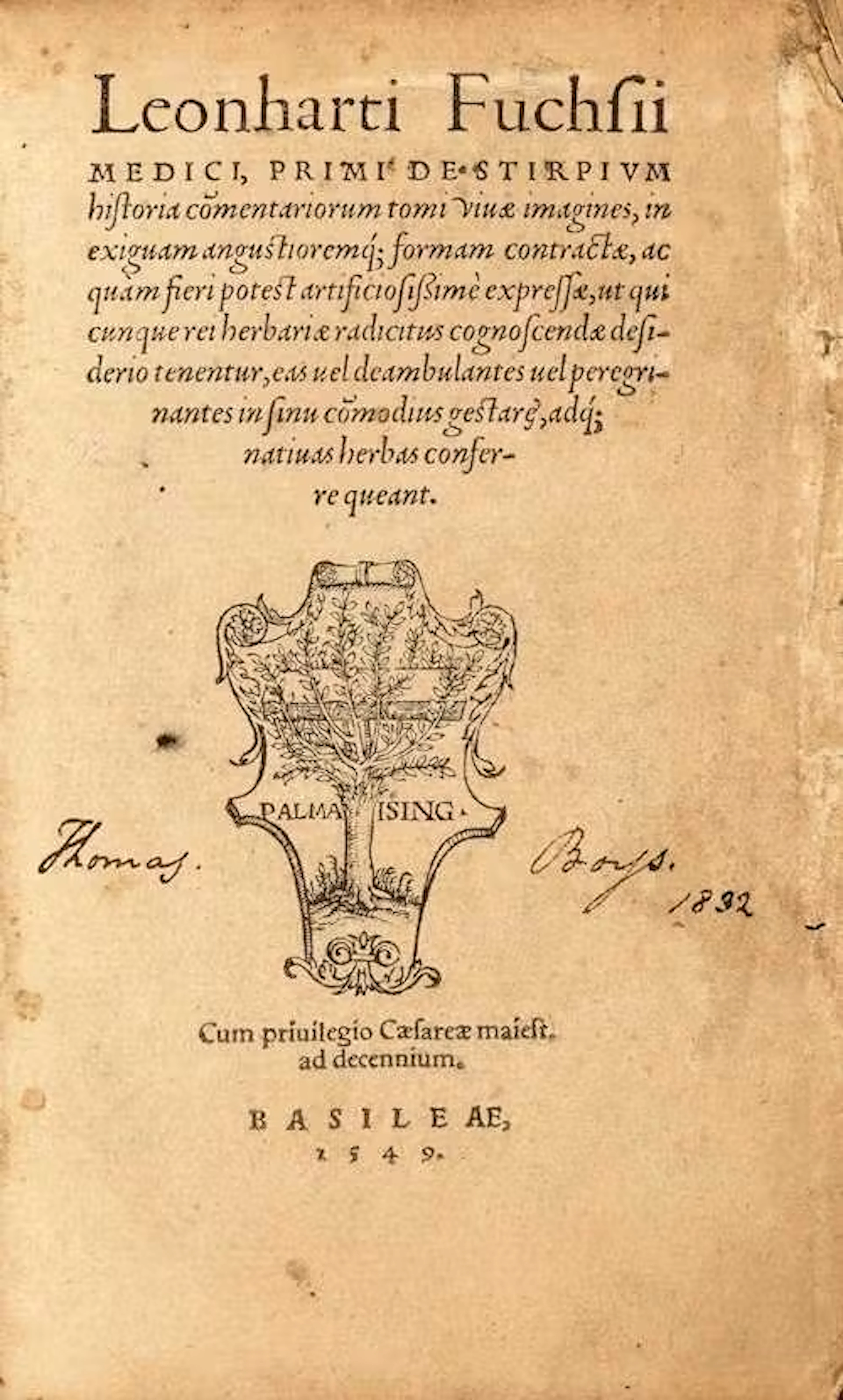 KRÄUTERBÜCHER -